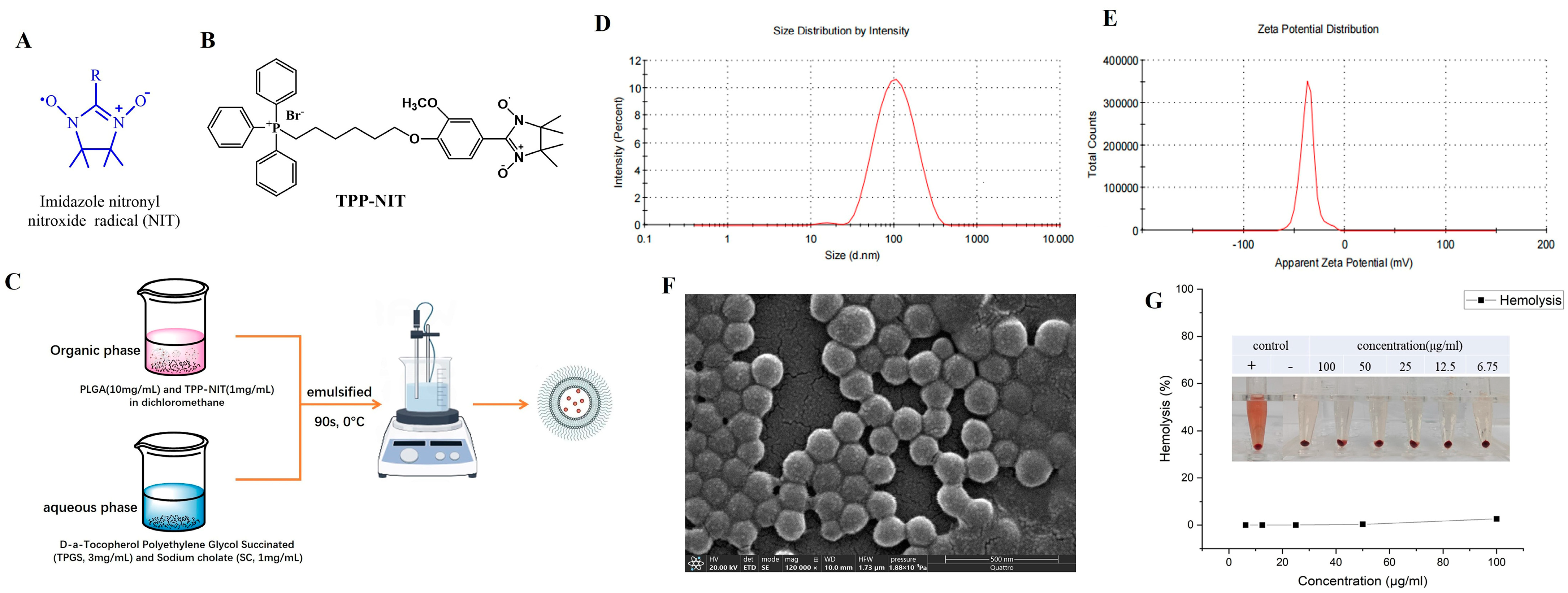 Cancers 16 00351 g001