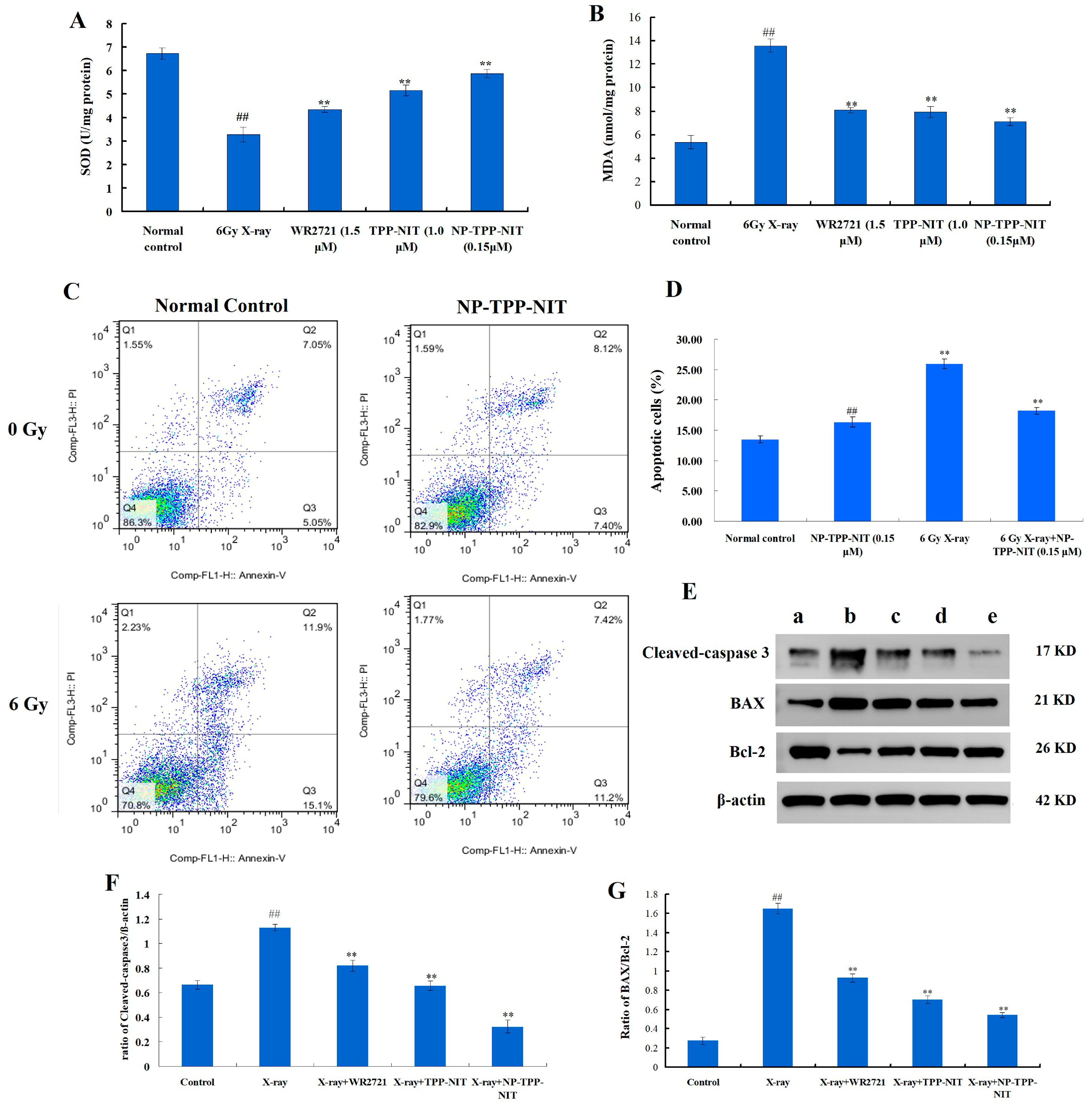 Cancers 16 00351 g005