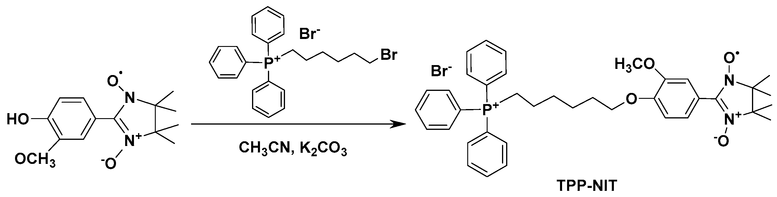 Cancers 16 00351 sch001