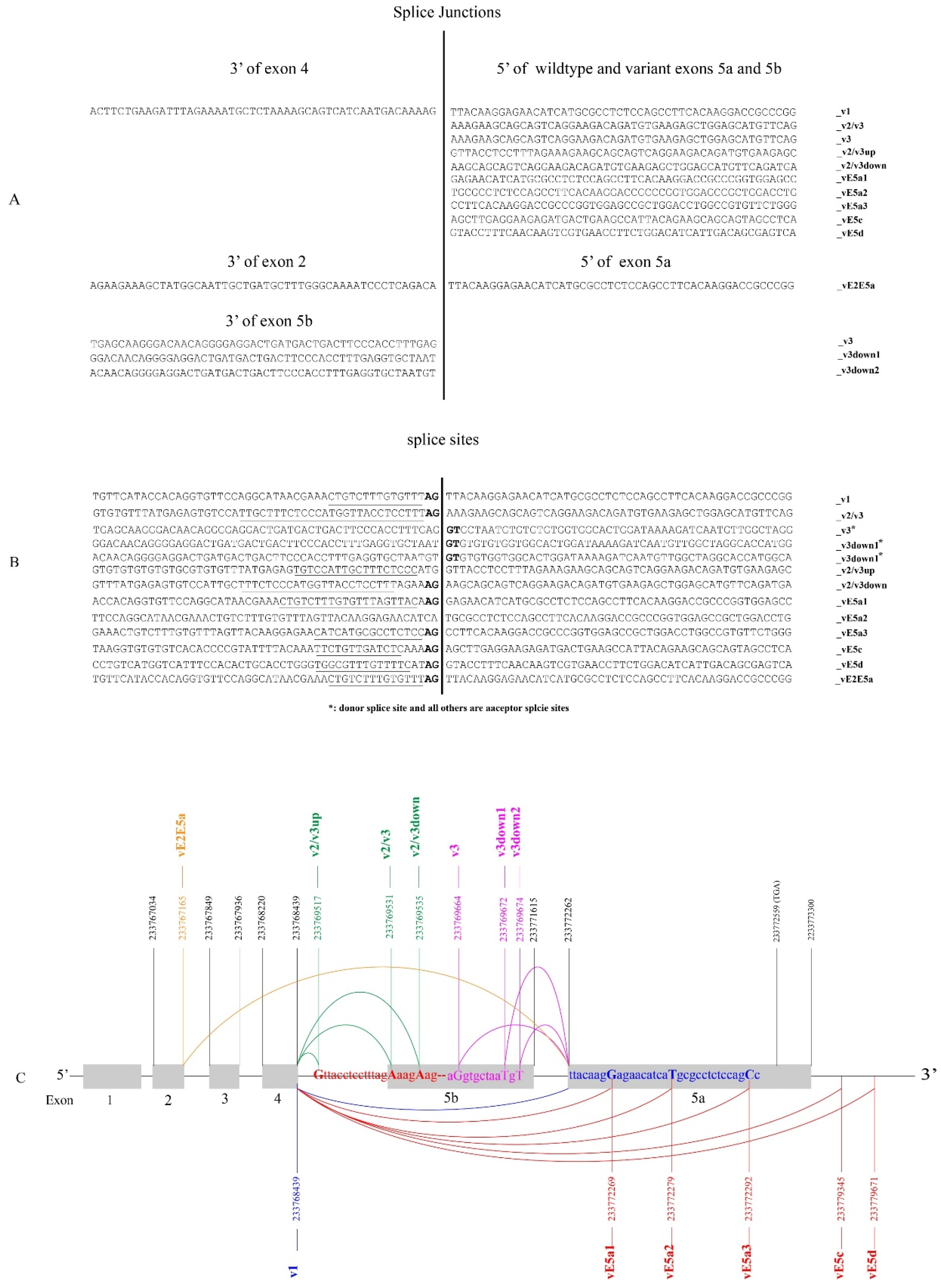 Cancers 16 00353 g009