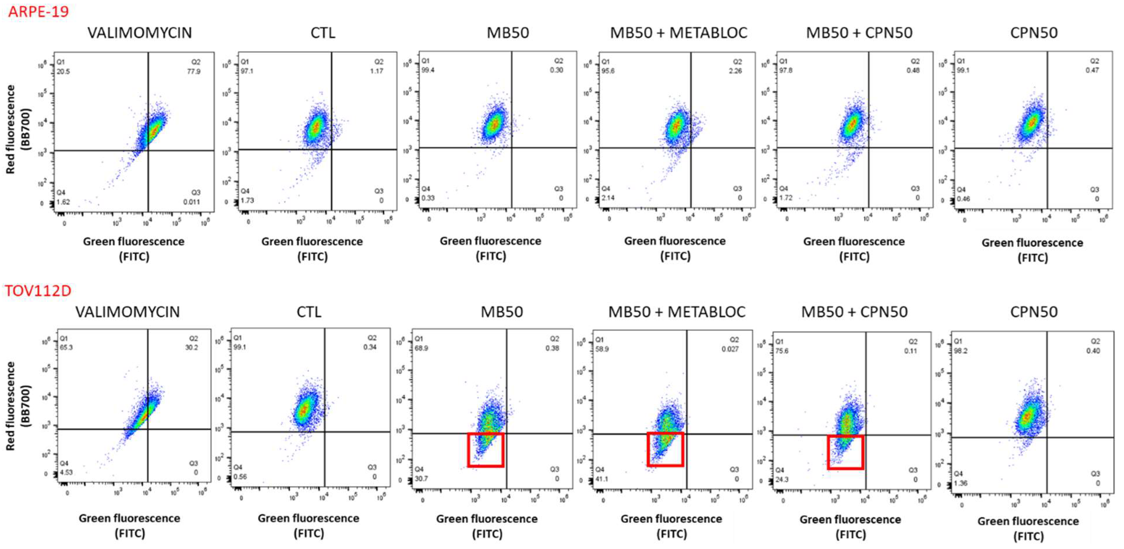Cancers 16 00355 g003