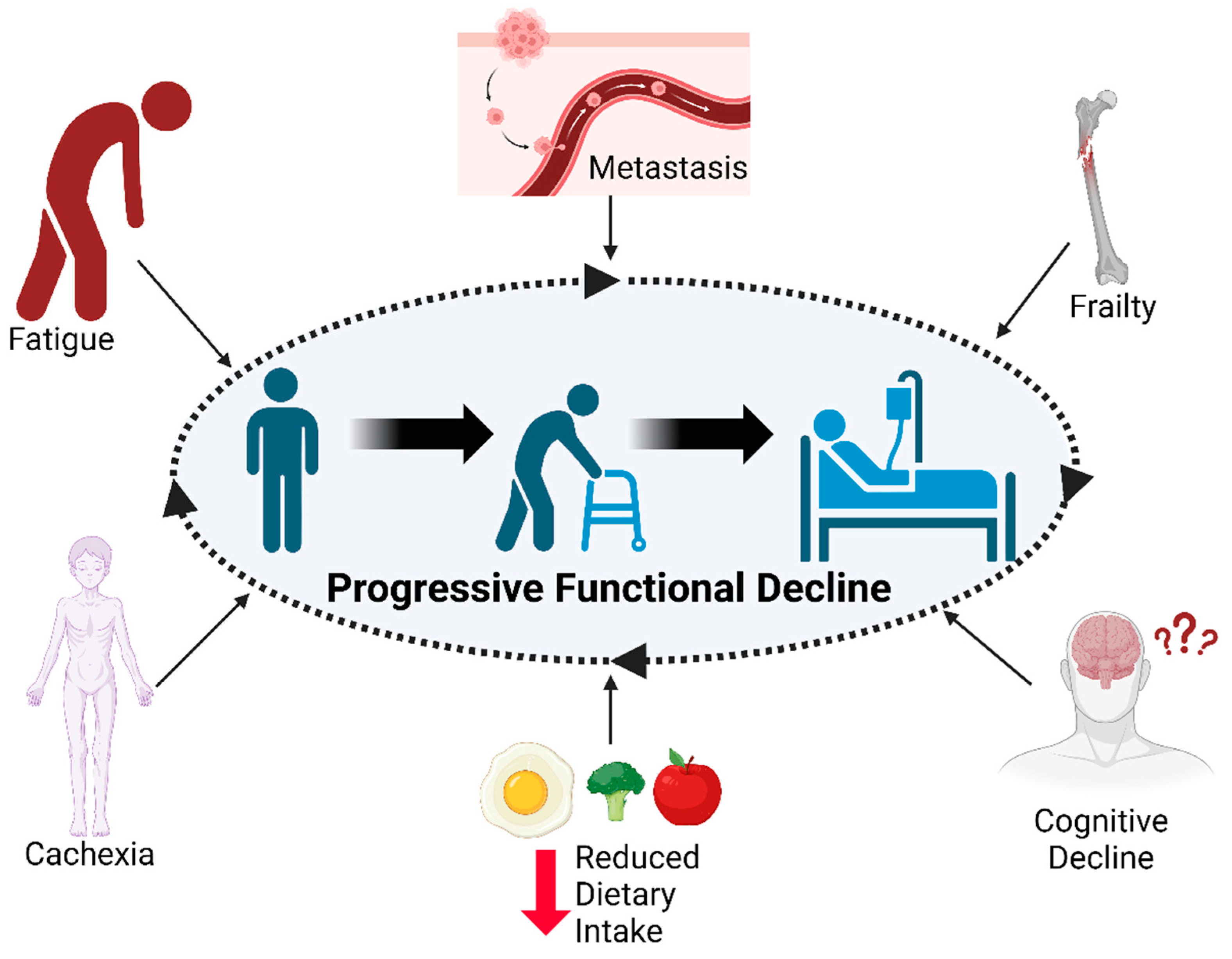What Can Result From A Functional Decline Cancers | Free Full-Text | Harnessing the Systemic Biology of