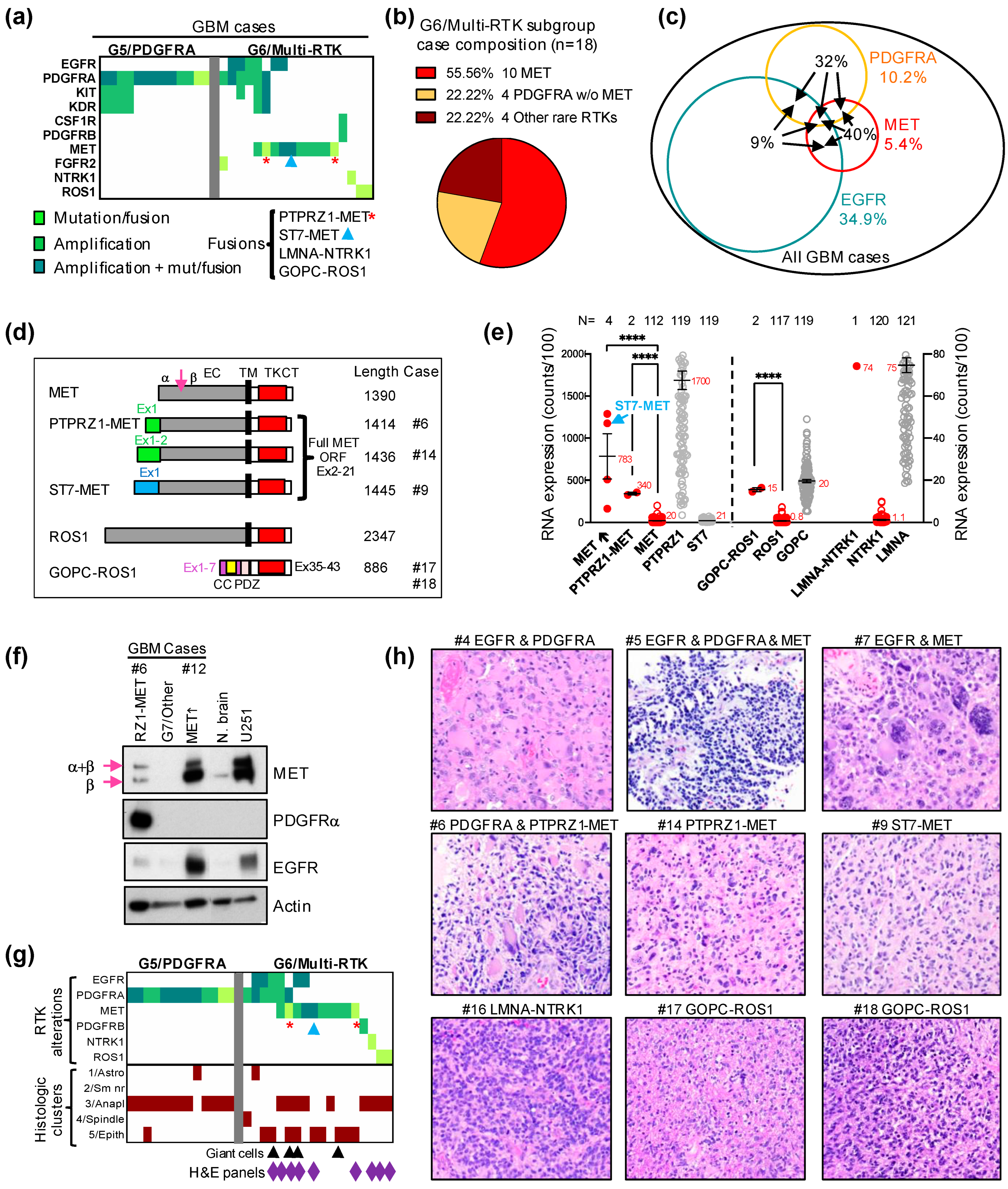 Cancers 16 00361 g003