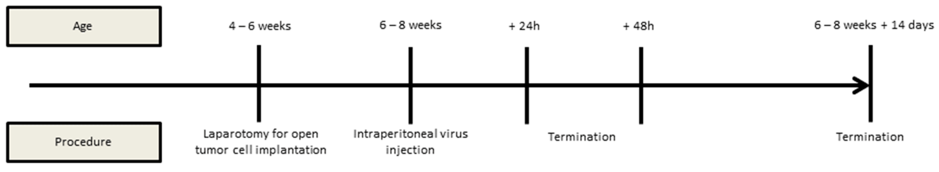 Cancers 16 00368 g002 Cancers 16 00368 g002