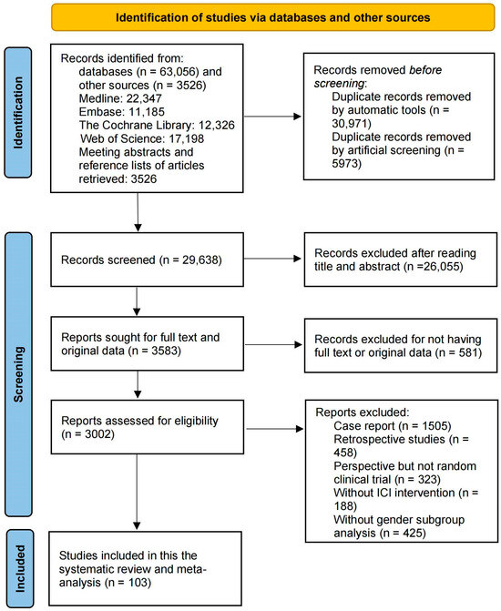 The Effect of Sex on the Therapeutic Efficiency of Immune