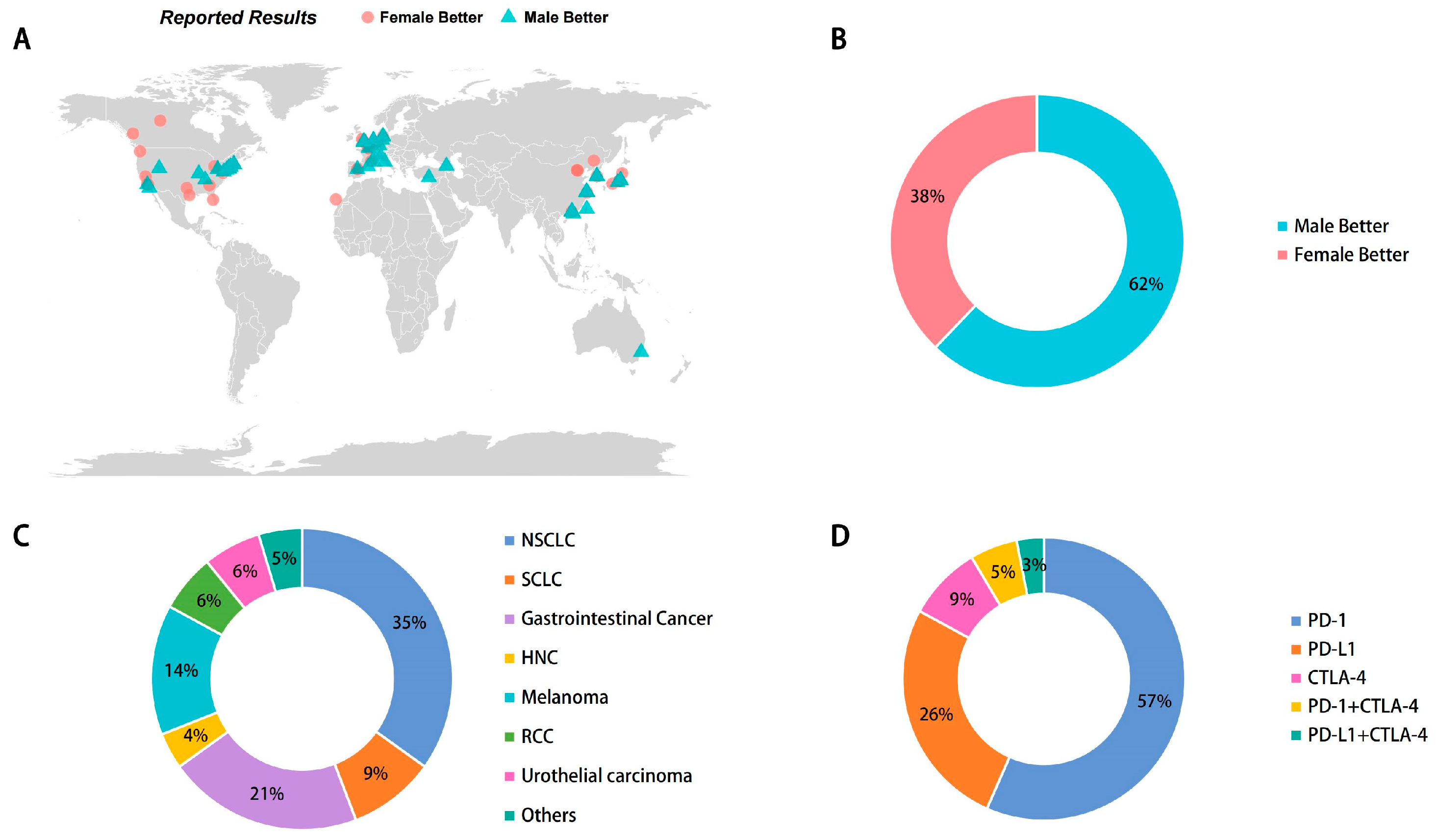 Cancers 16 00382 g002