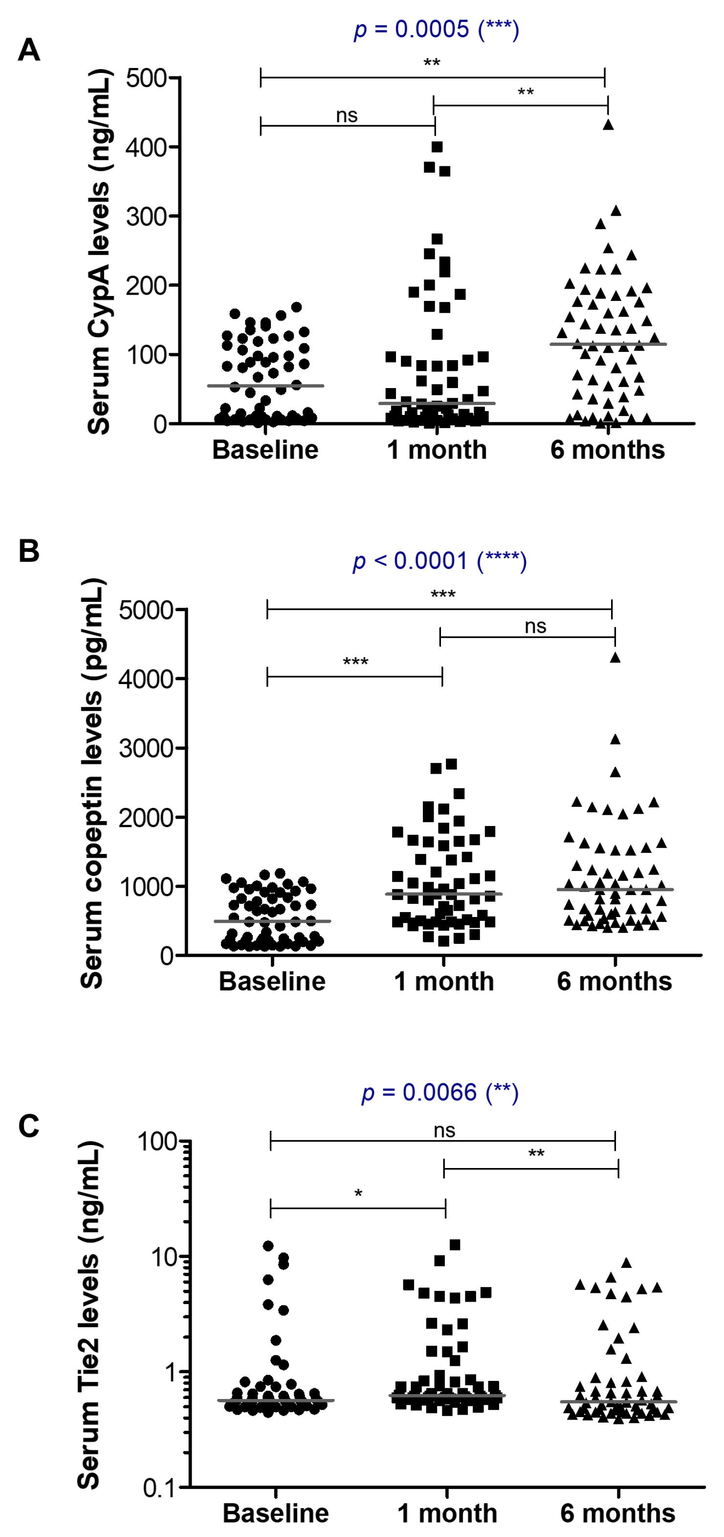 Cancers 16 00385 g001