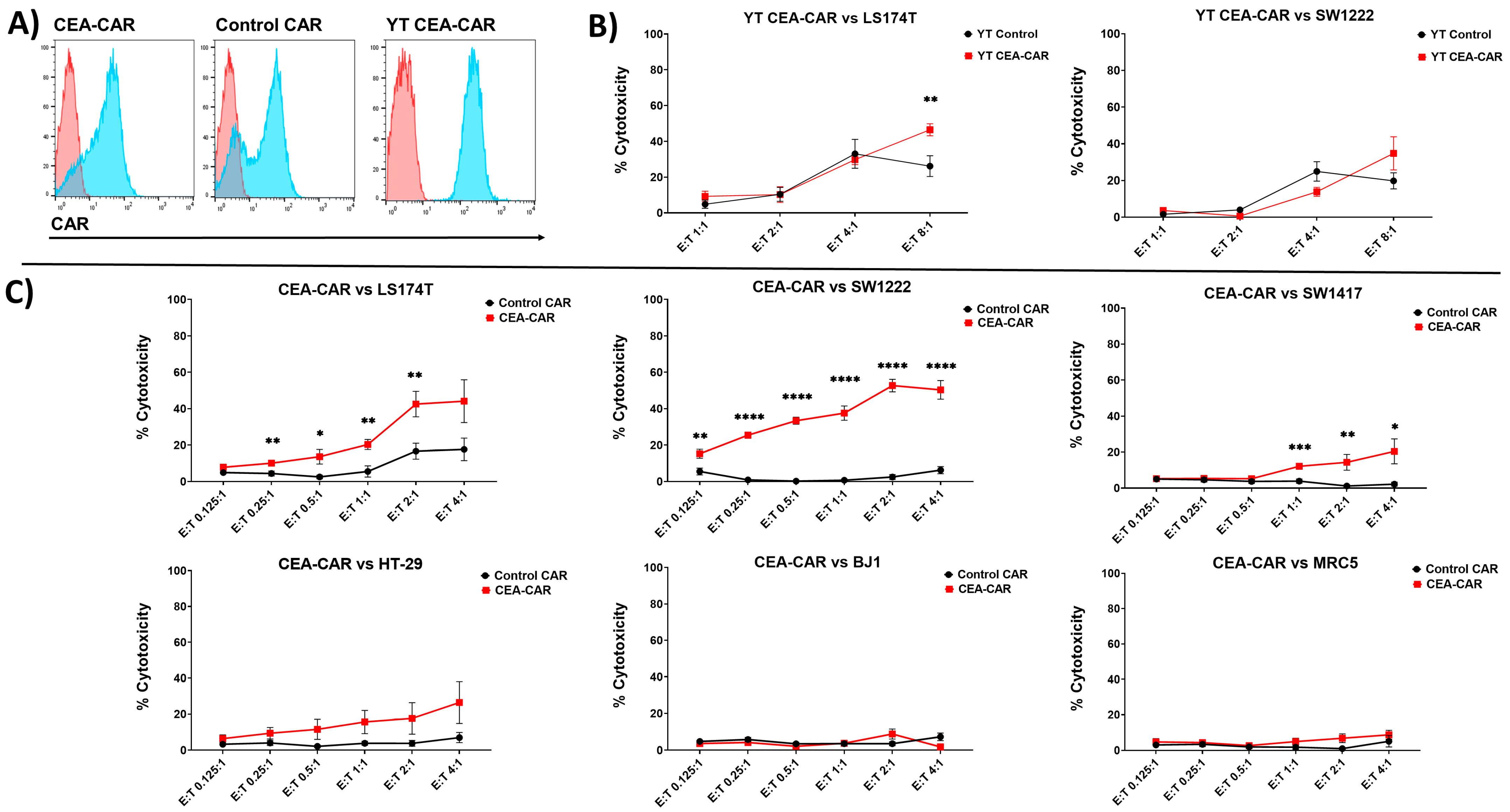 Cancers 16 00388 g003