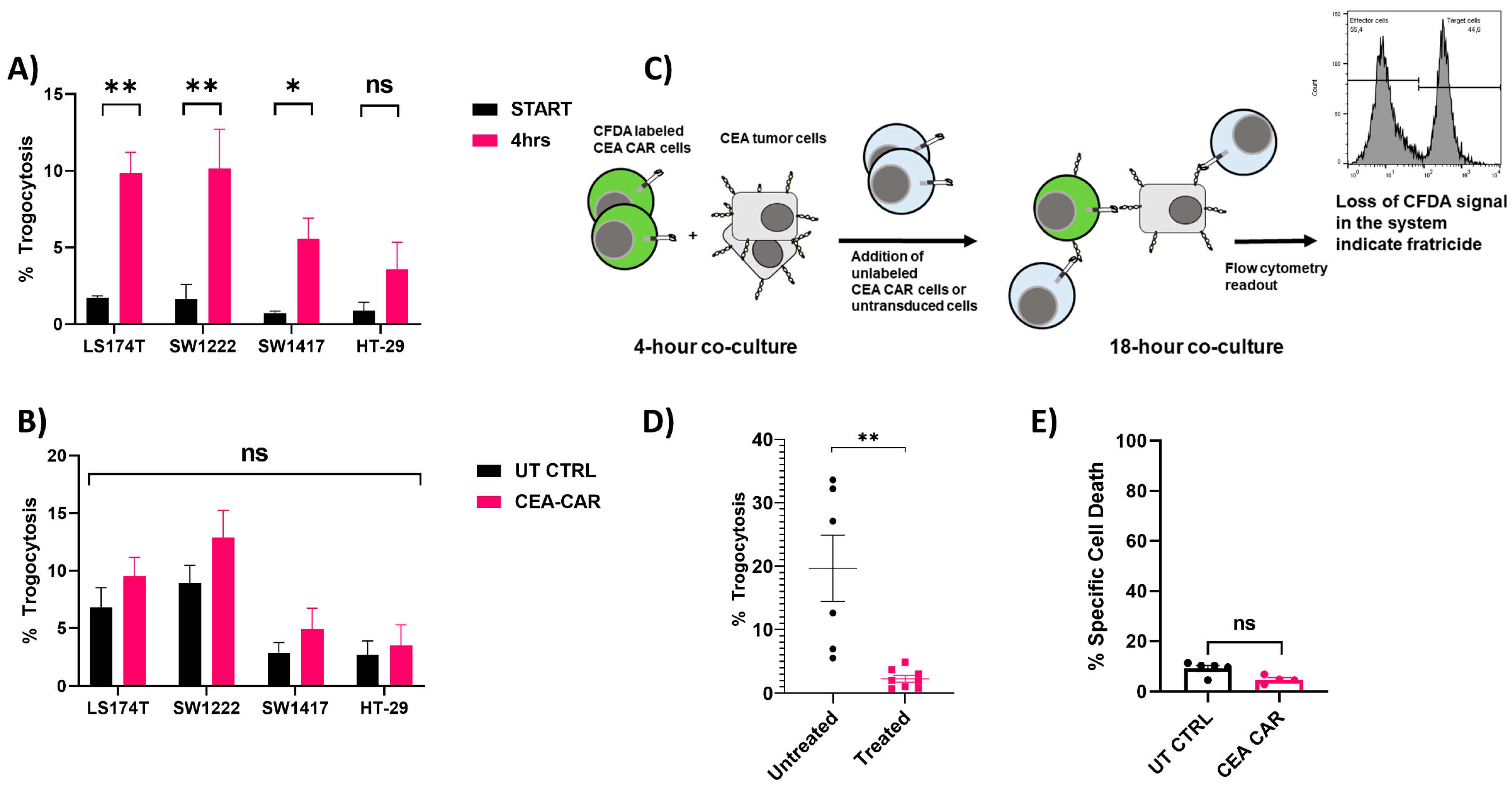 Cancers 16 00388 g008