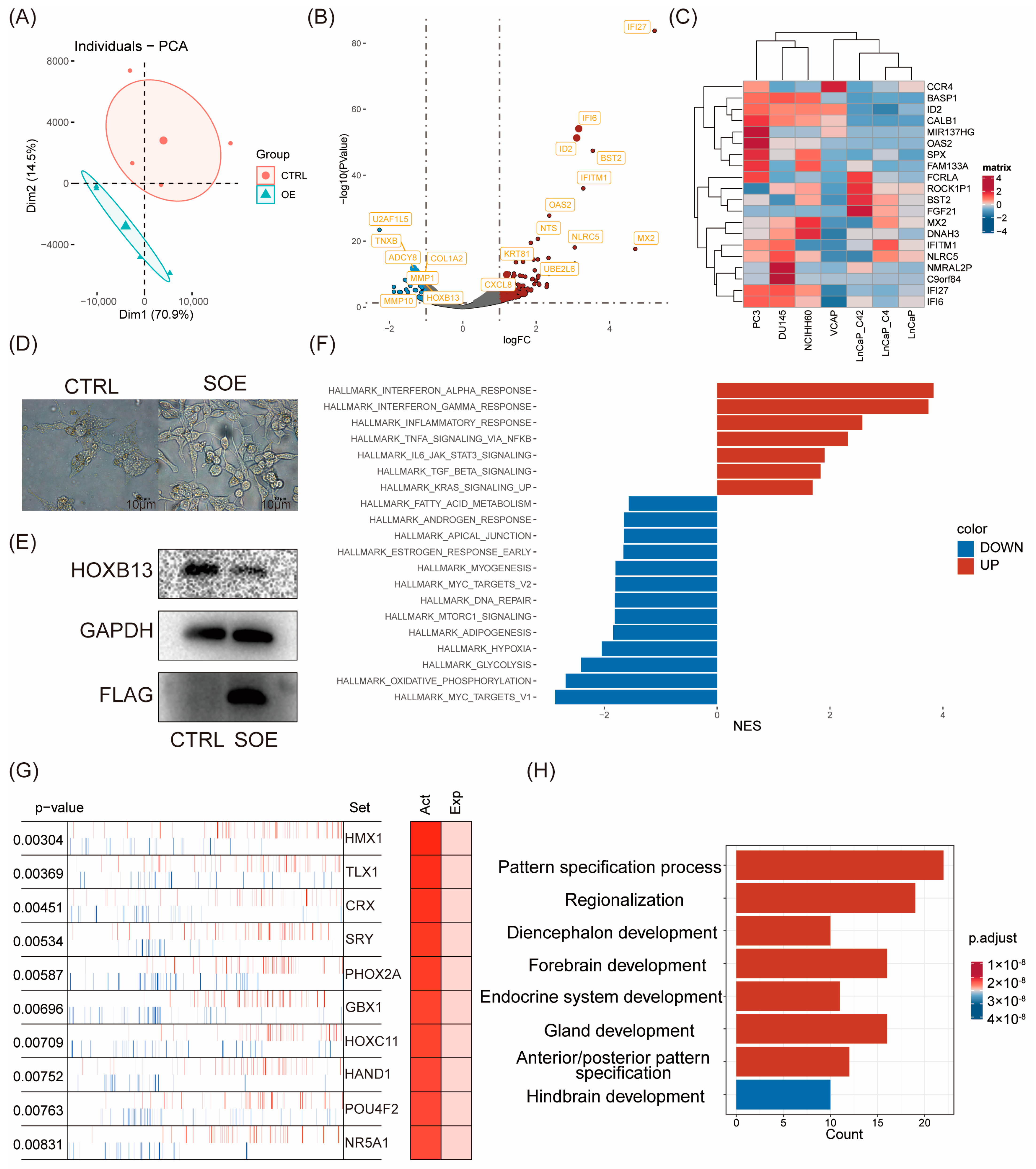 Cancers 16 00392 g002