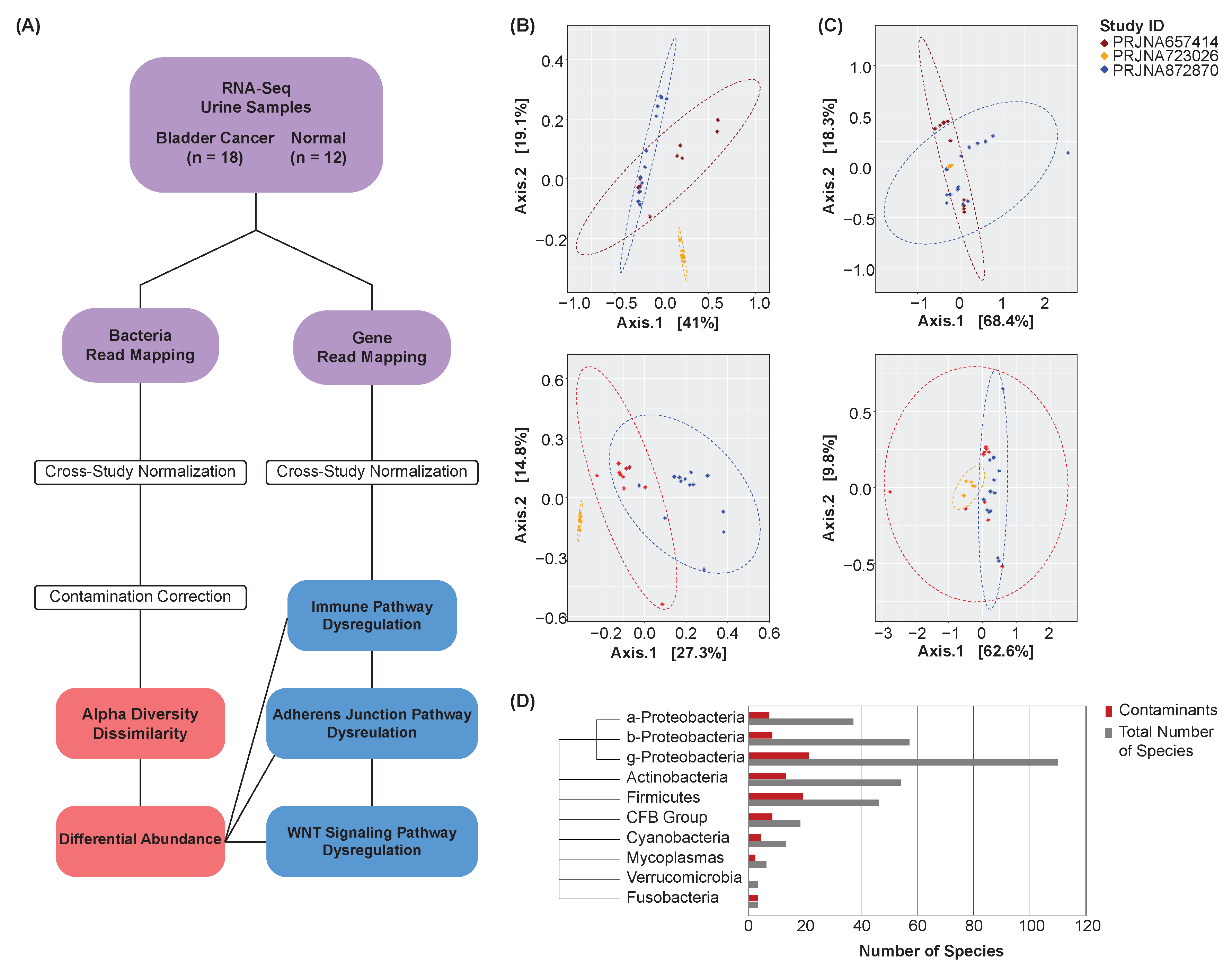 Cancers 16 00394 g001 Cancers 16 00394 g001