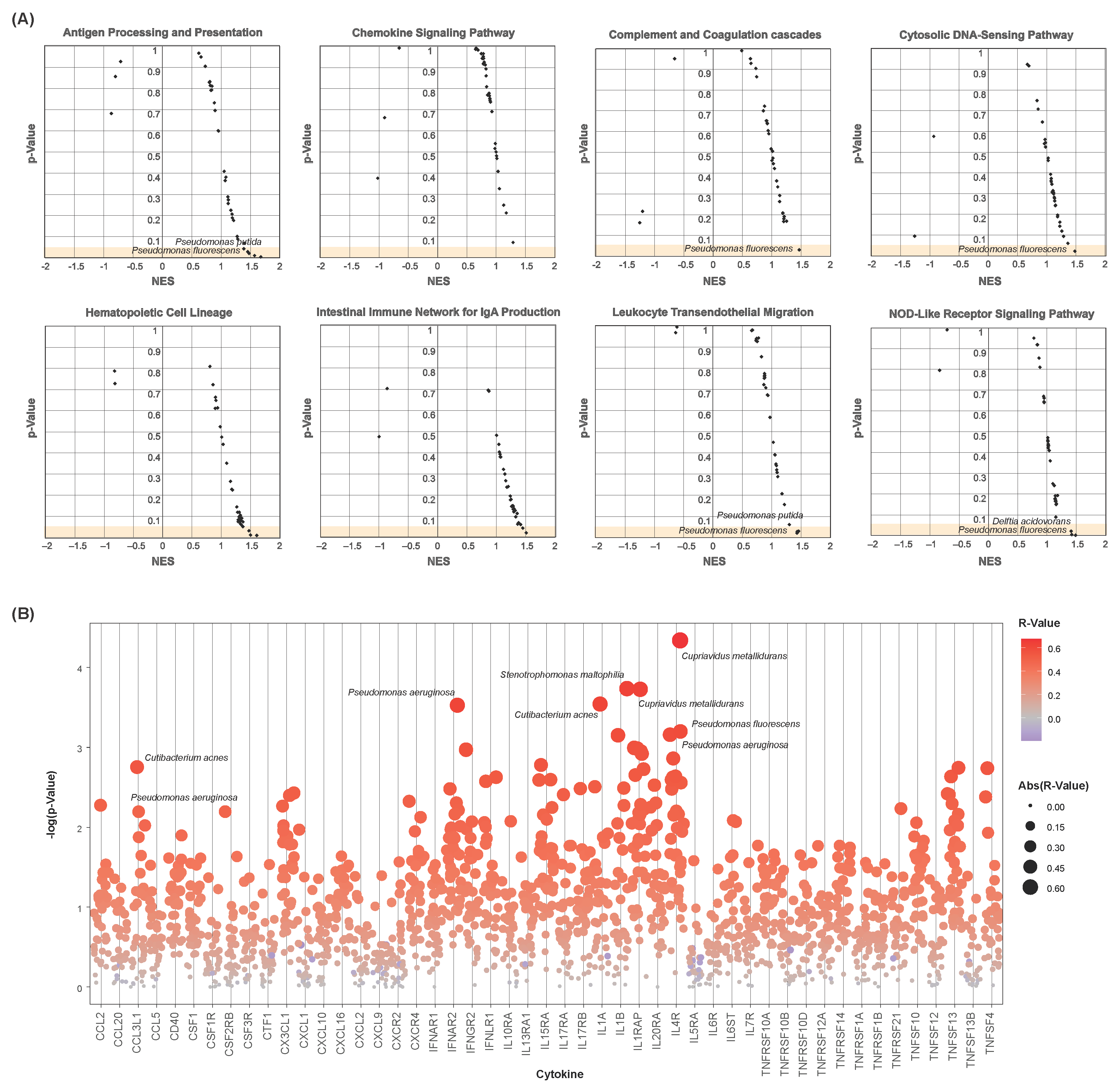 Cancers 16 00394 g004 Cancers 16 00394 g004