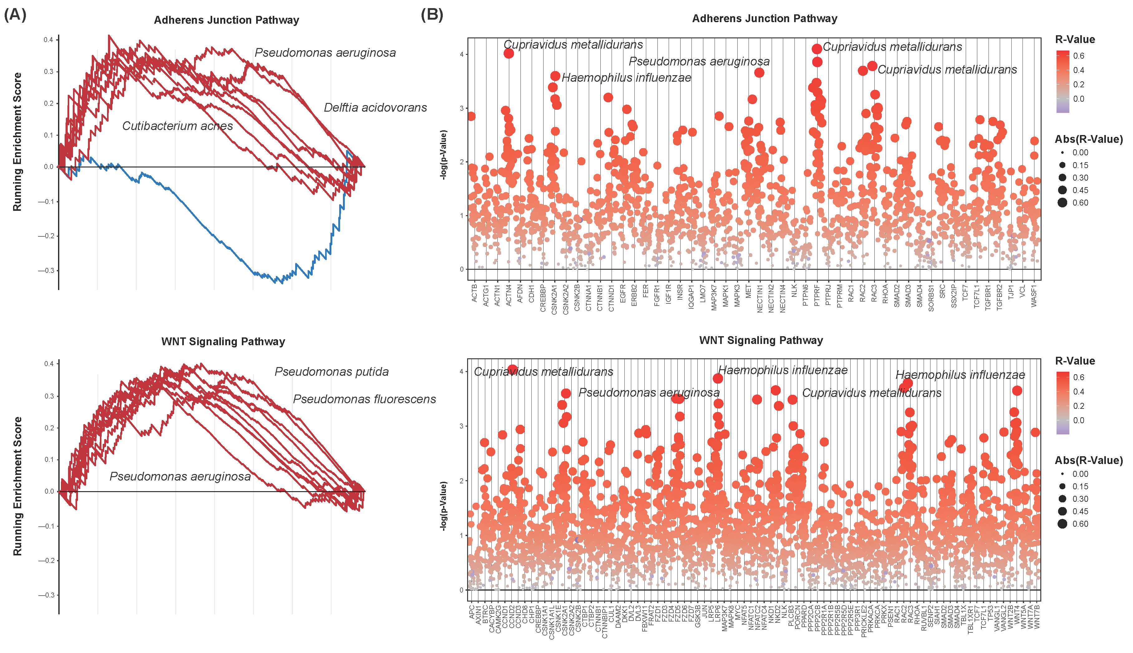 Cancers 16 00394 g005 Cancers 16 00394 g005