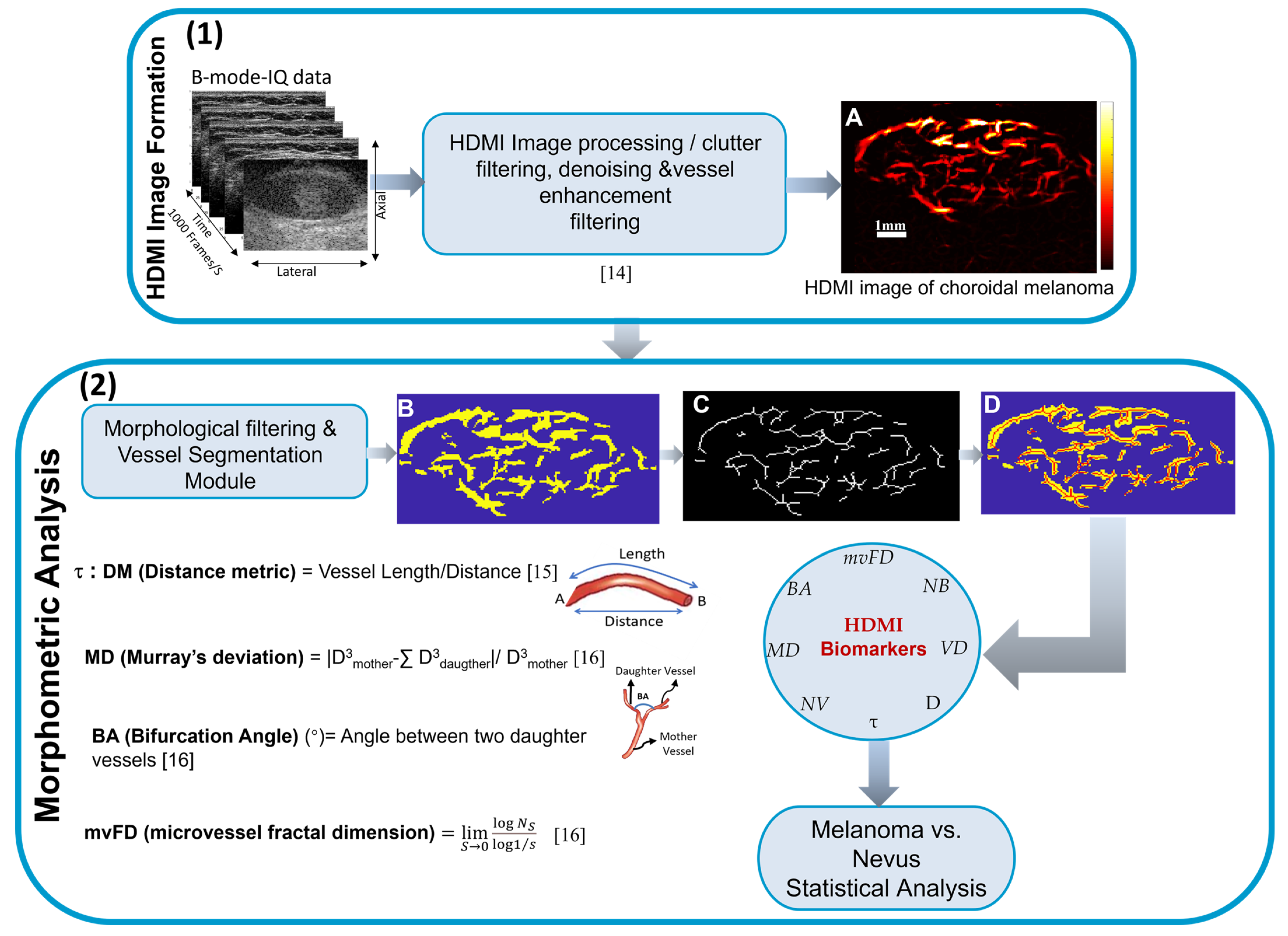 Cancers 16 00395 g002 Cancers 16 00395 g002