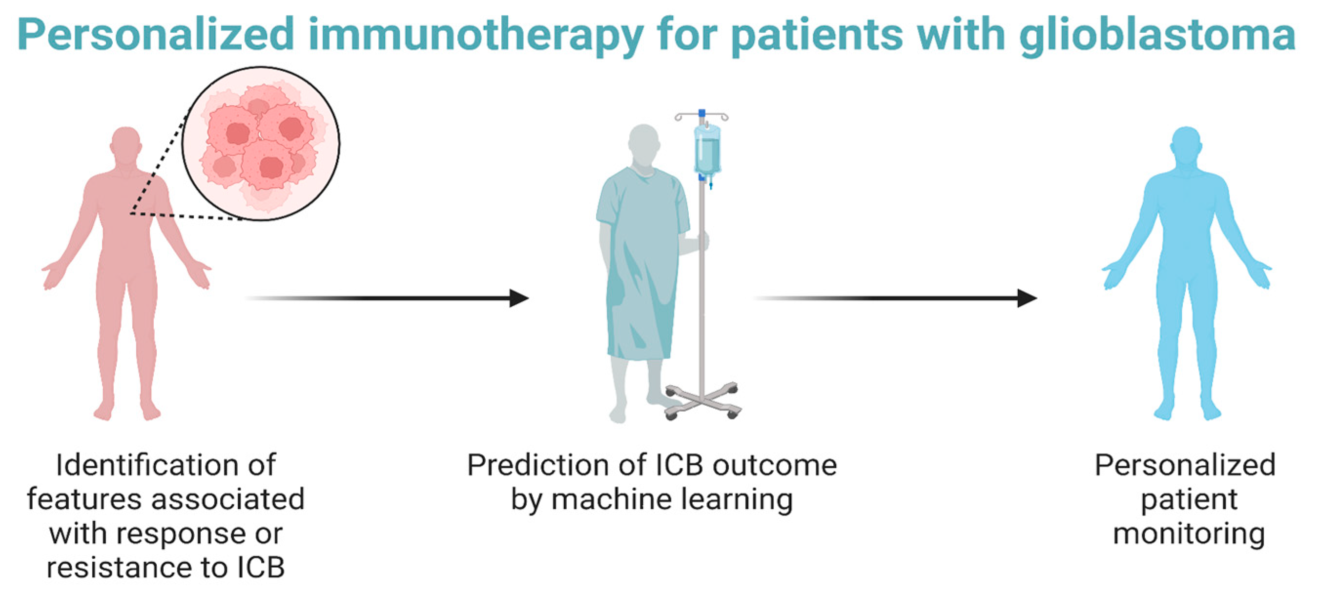 Cancers 16 00408 g001