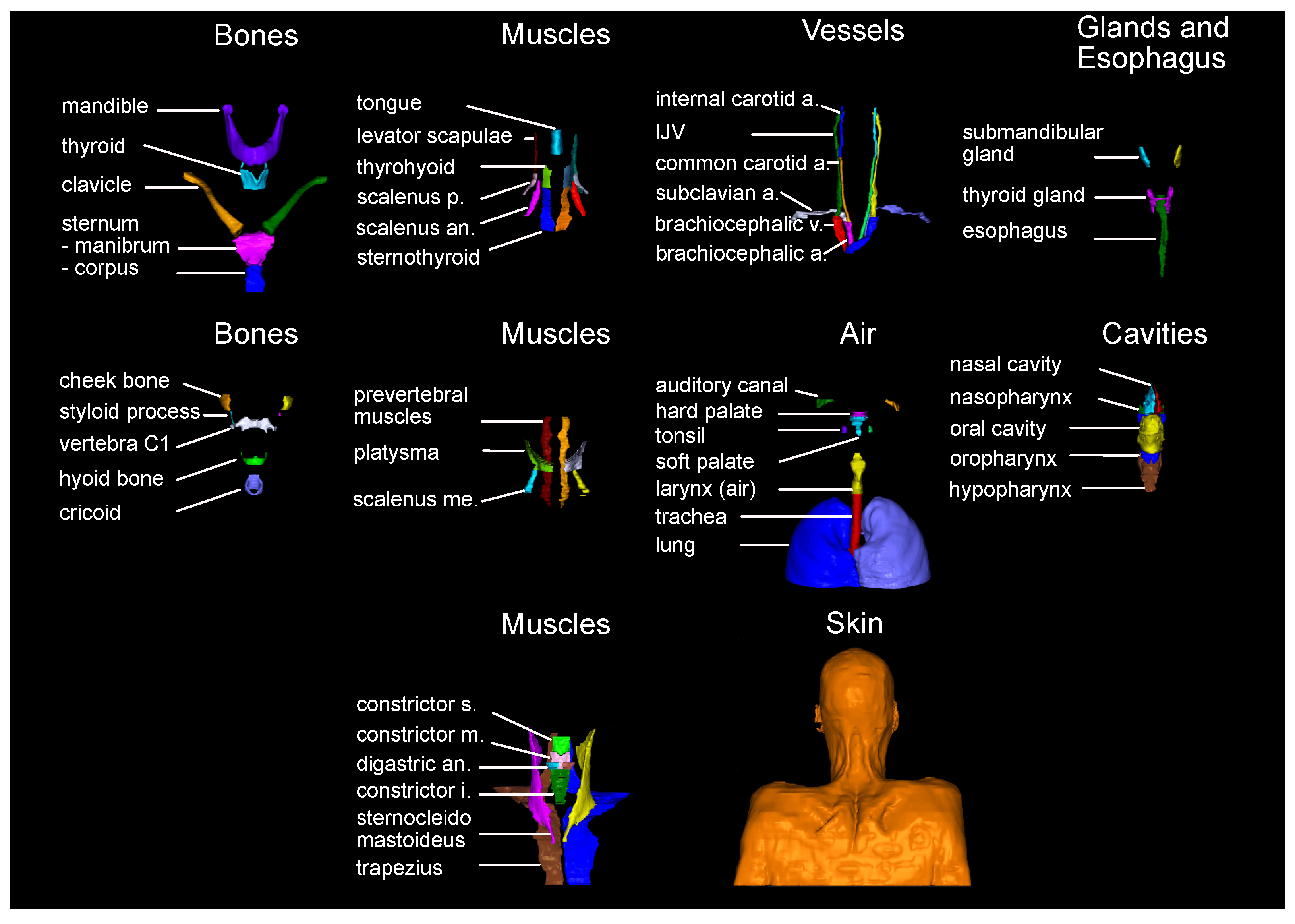 Cancers 16 00415 g002