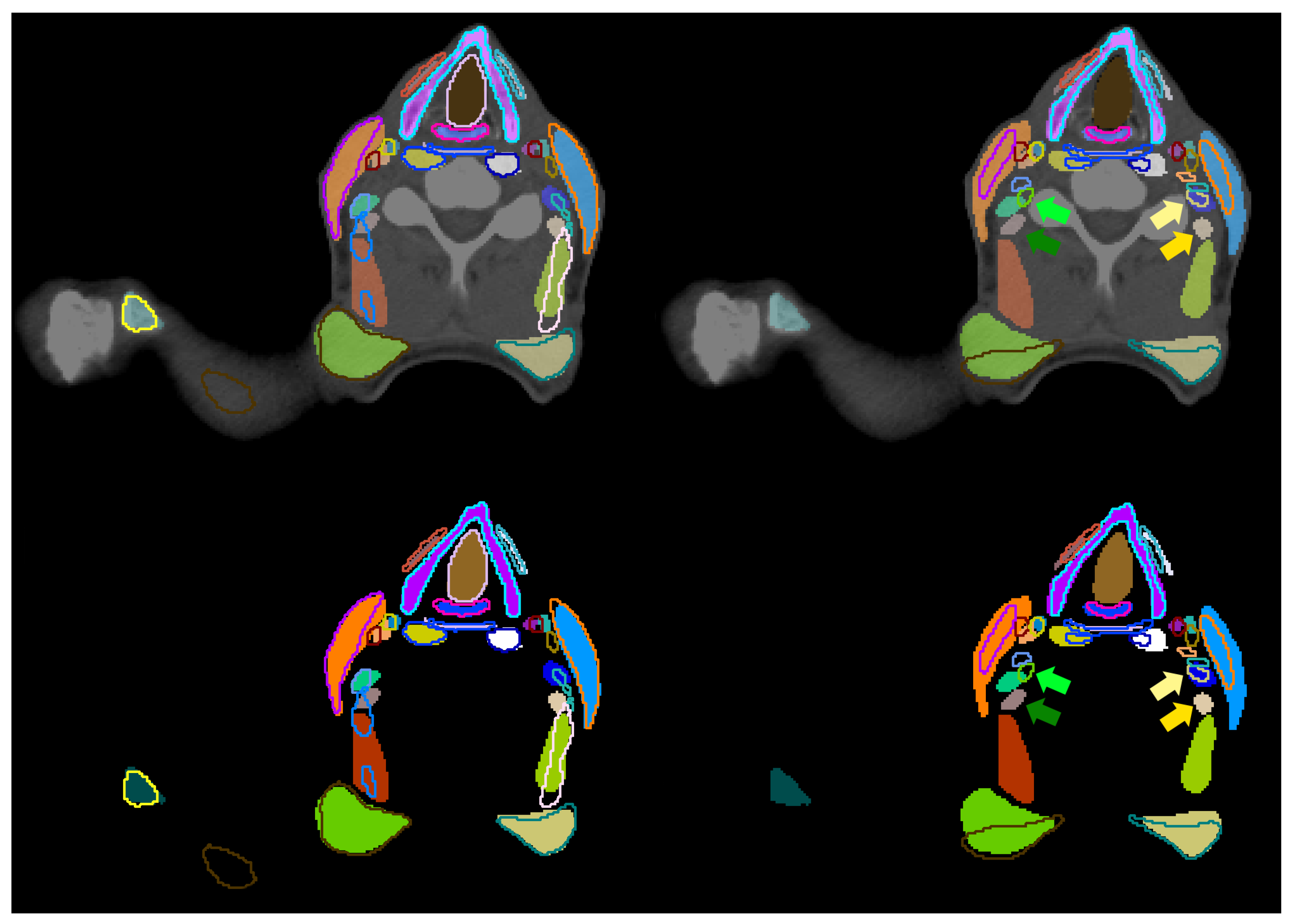 Cancers 16 00415 g007