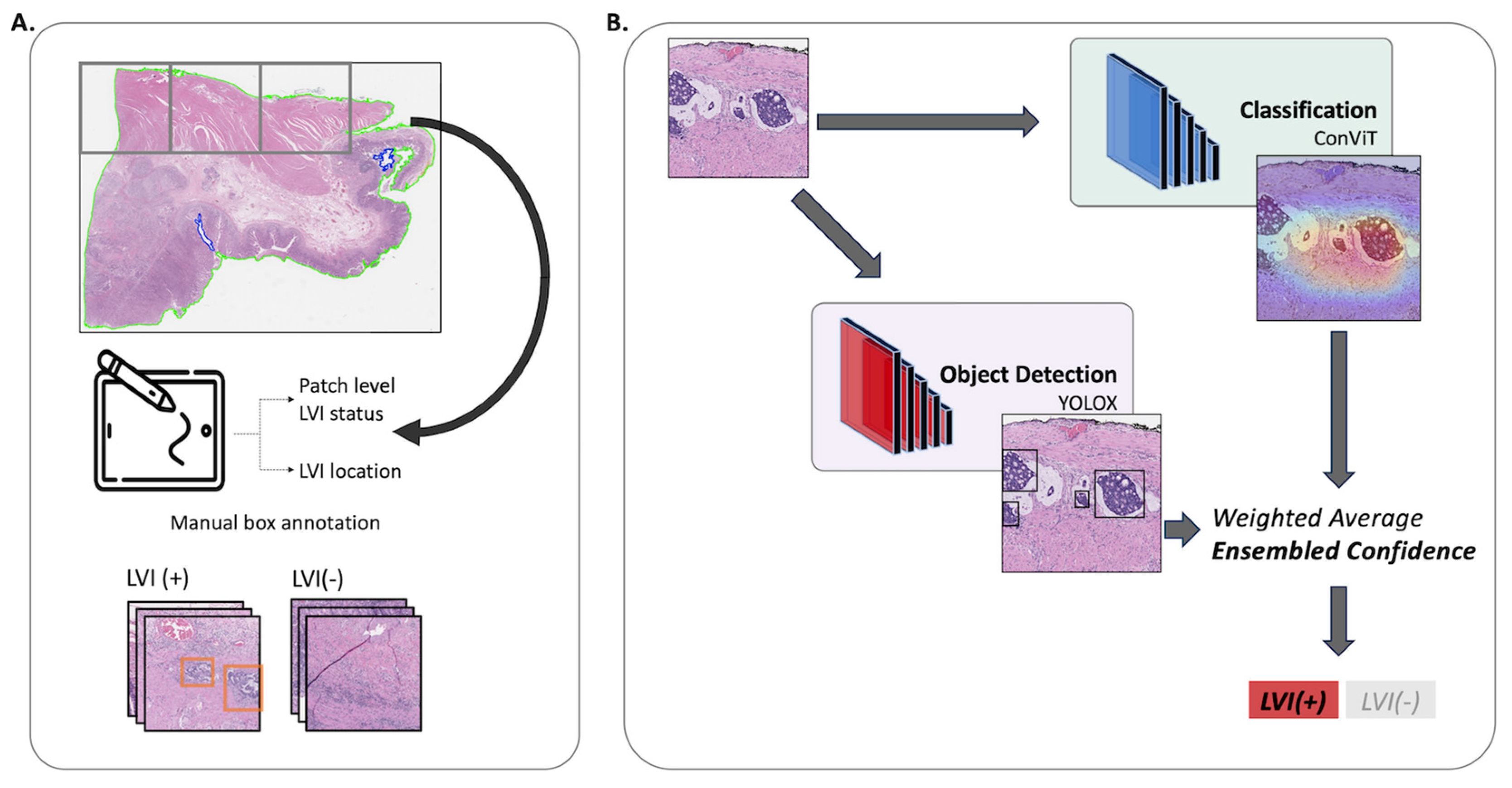 Cancers 16 00430 g001