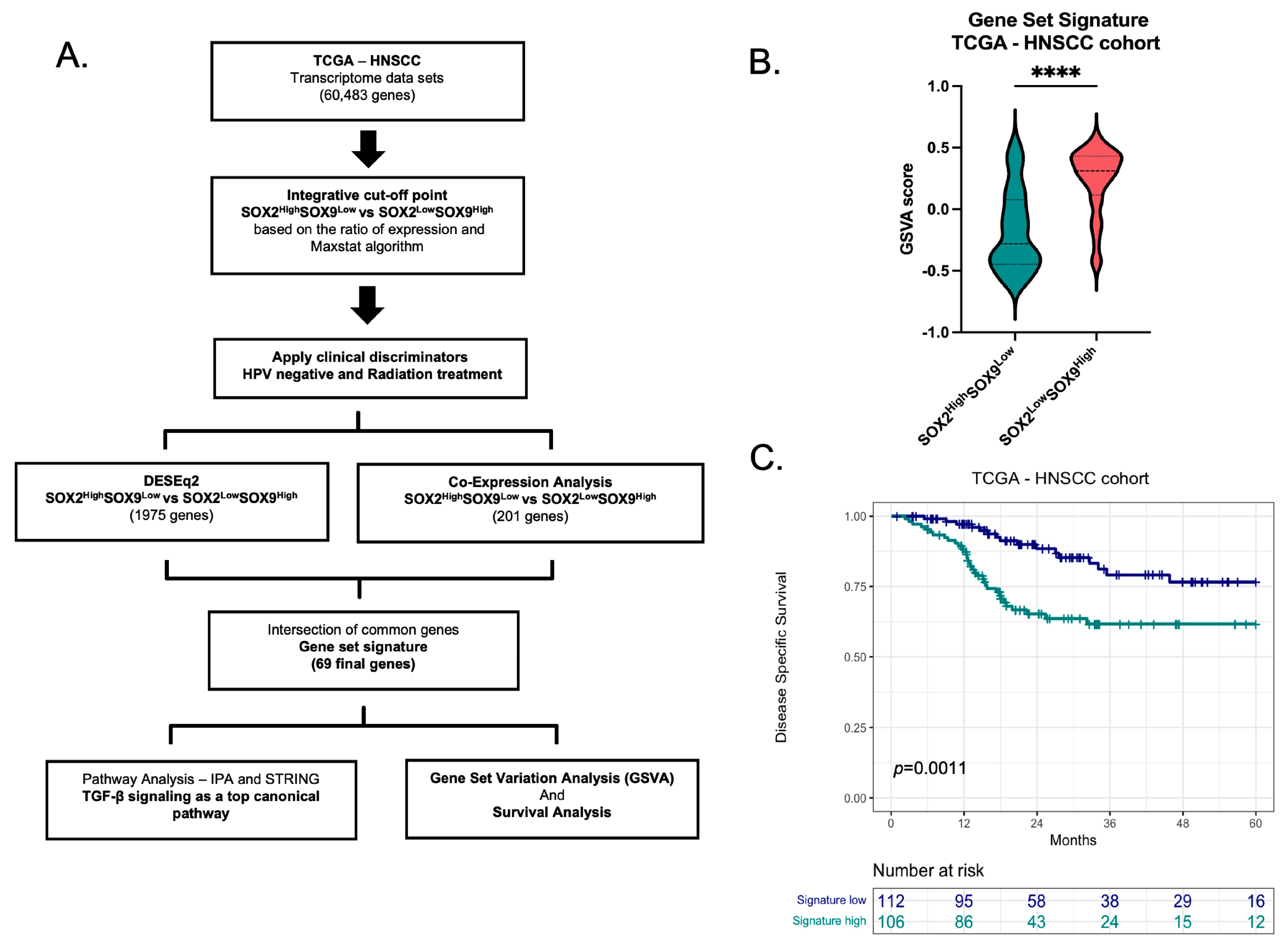 Cancers 16 00439 g002 Cancers 16 00439 g002