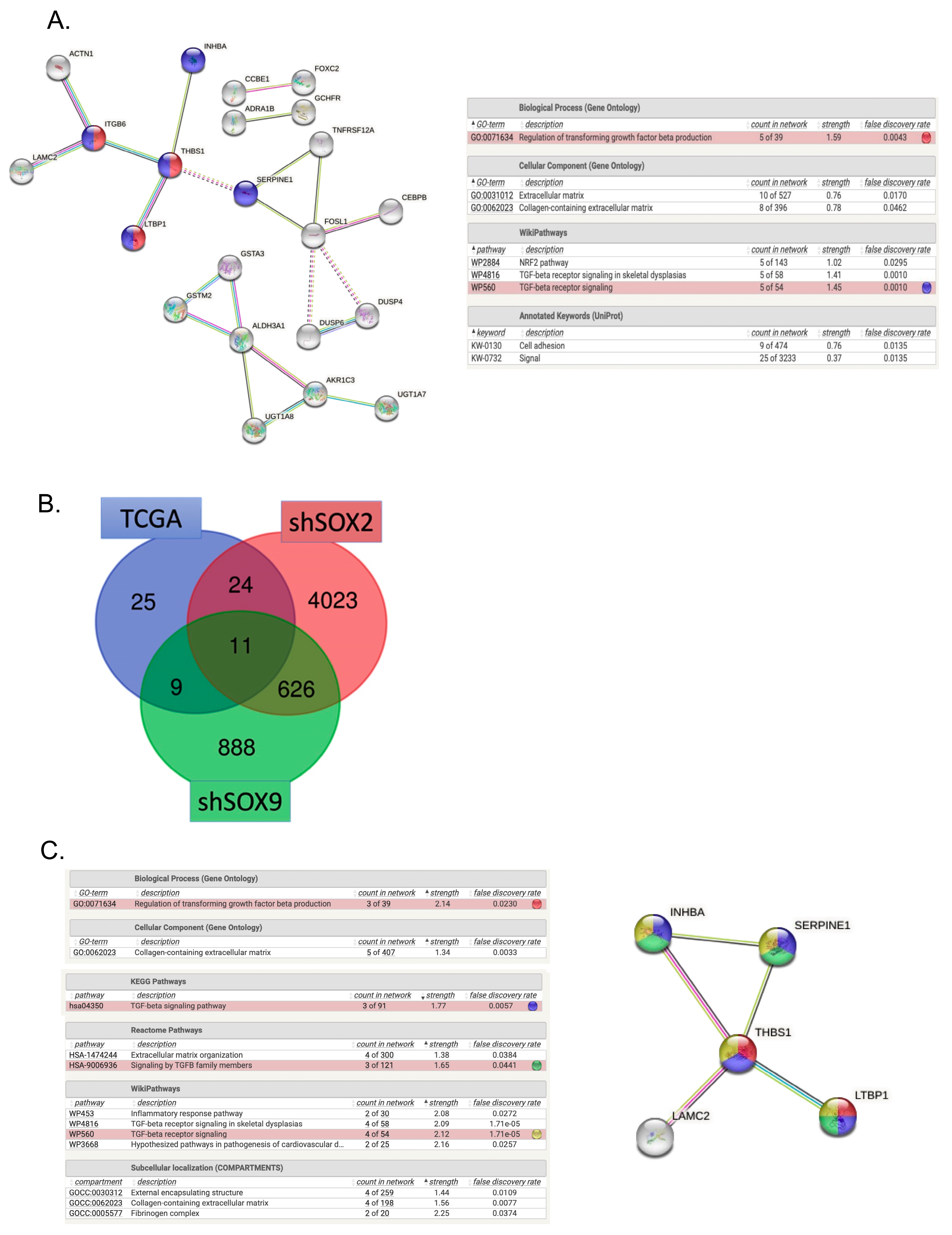 Cancers 16 00439 g003 Cancers 16 00439 g003