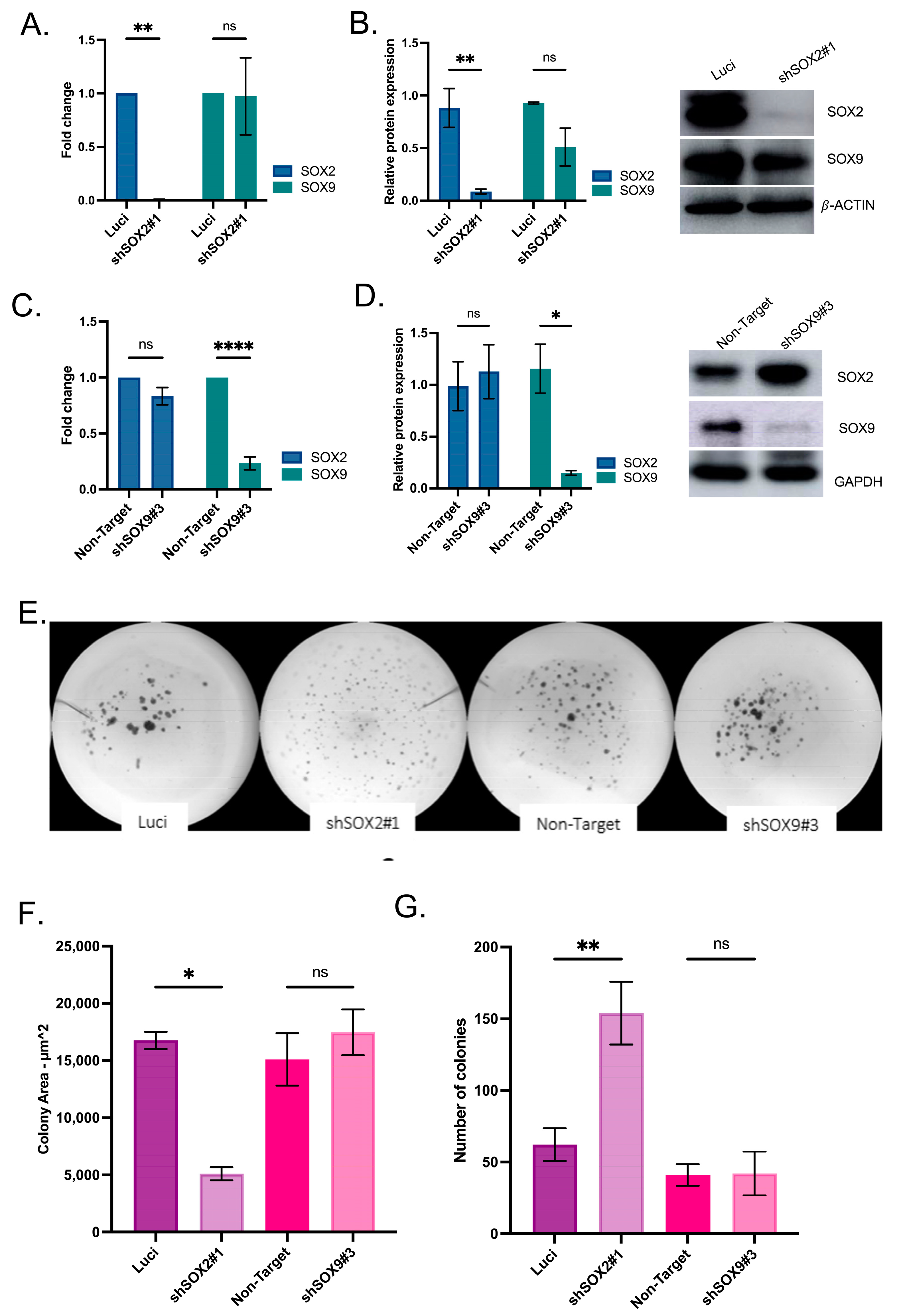 Cancers 16 00439 g004 Cancers 16 00439 g004