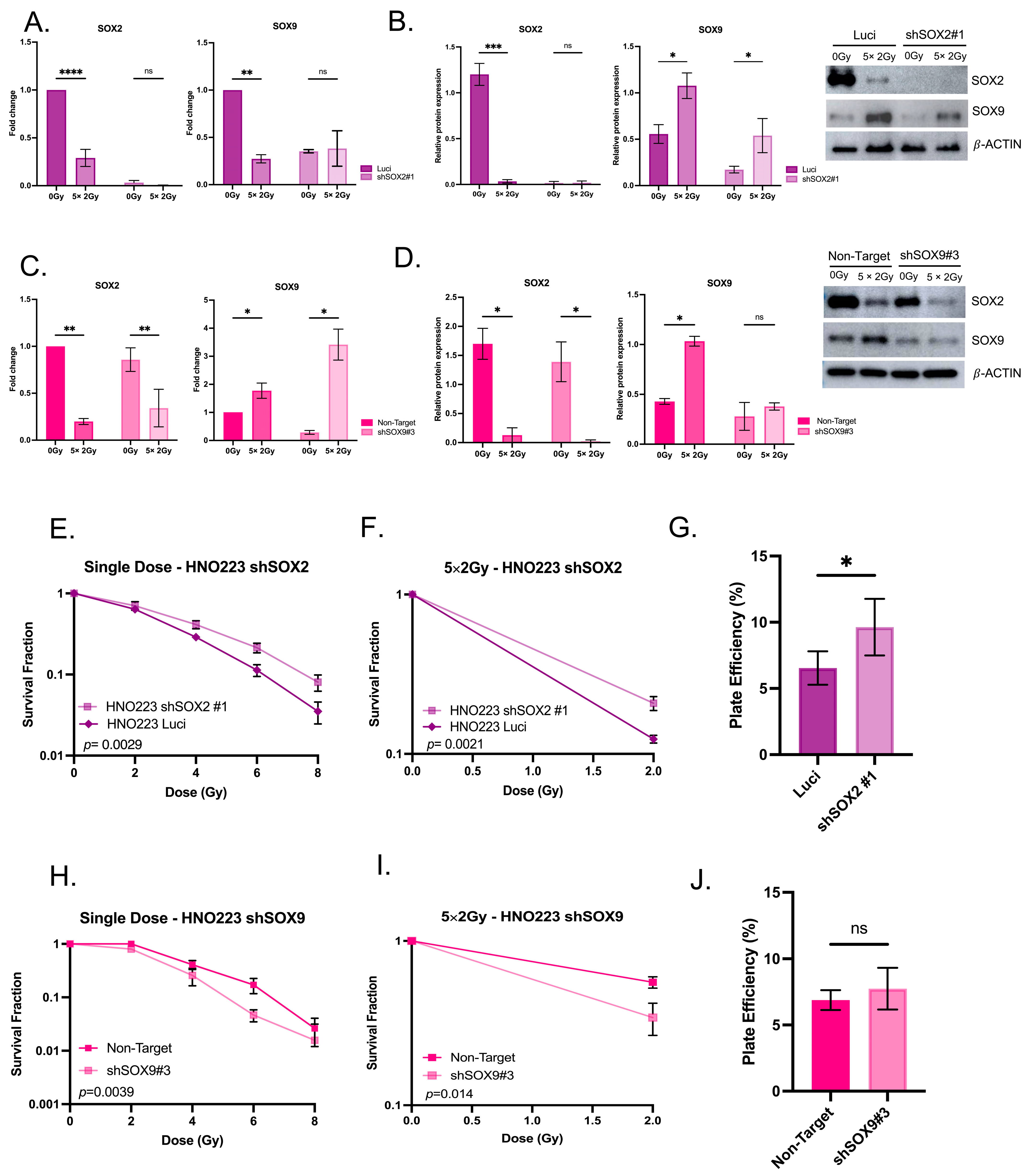 Cancers 16 00439 g005 Cancers 16 00439 g005