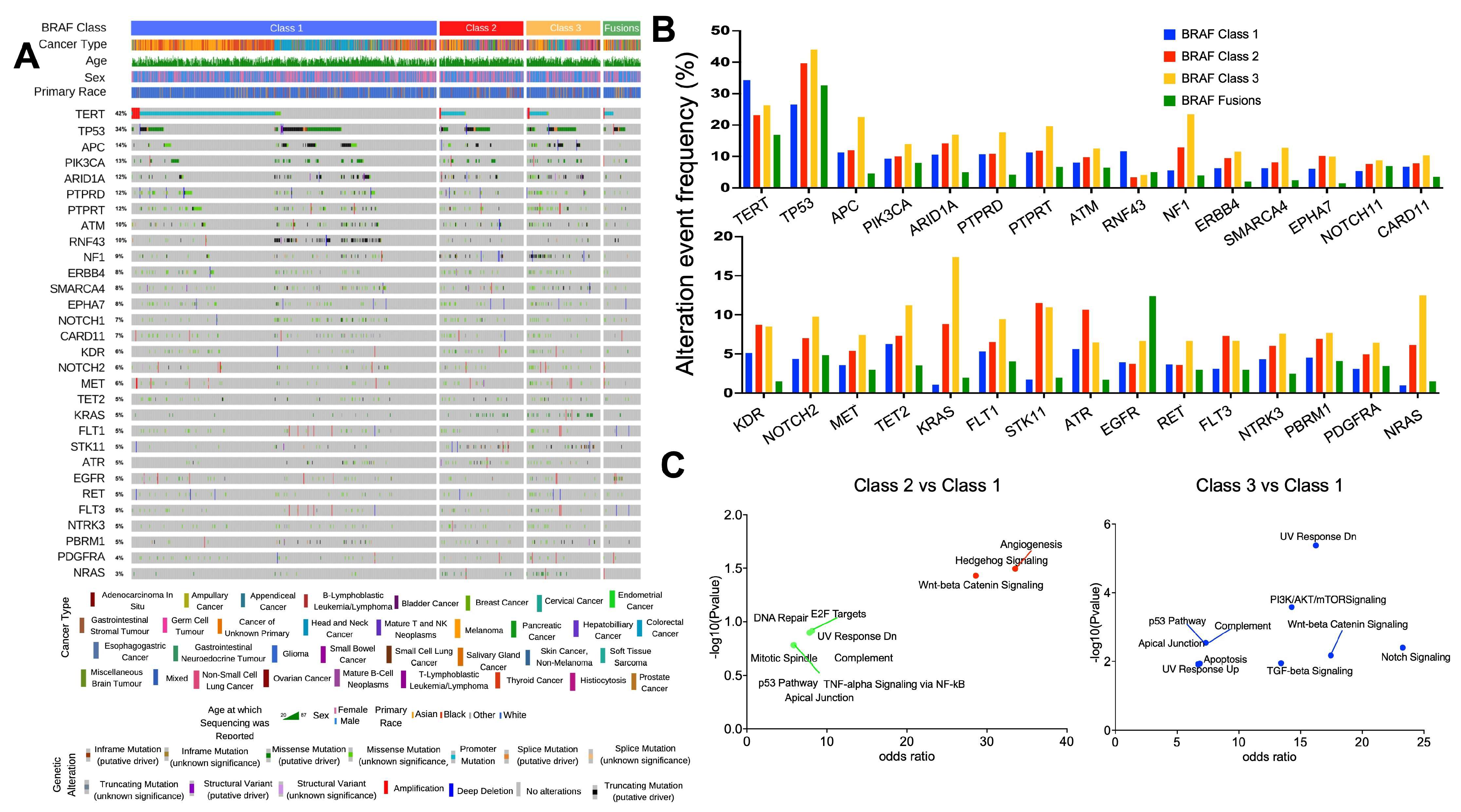 Cancers 16 00445 g001