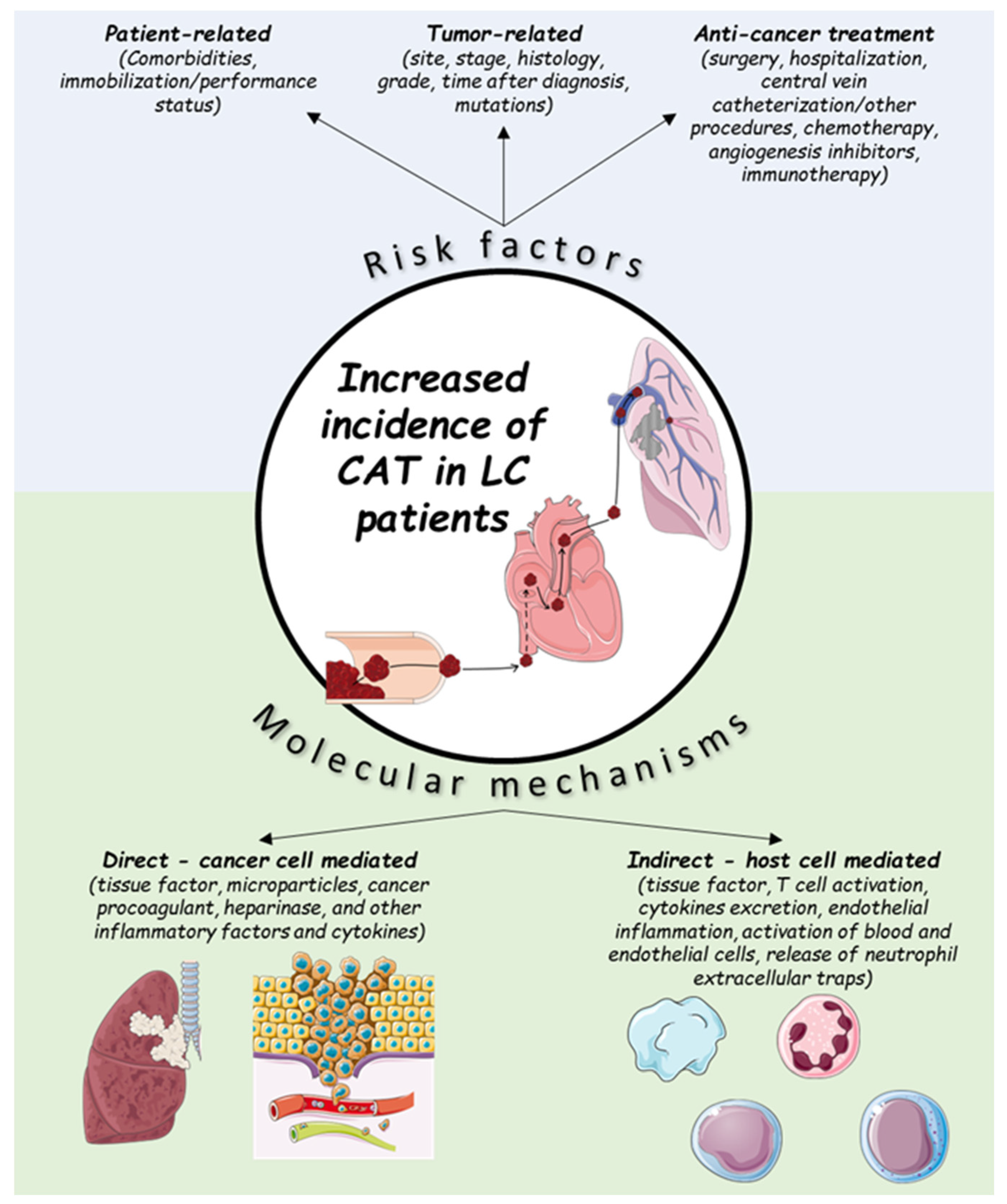 Cancers 16 00450 g001 Cancers 16 00450 g001