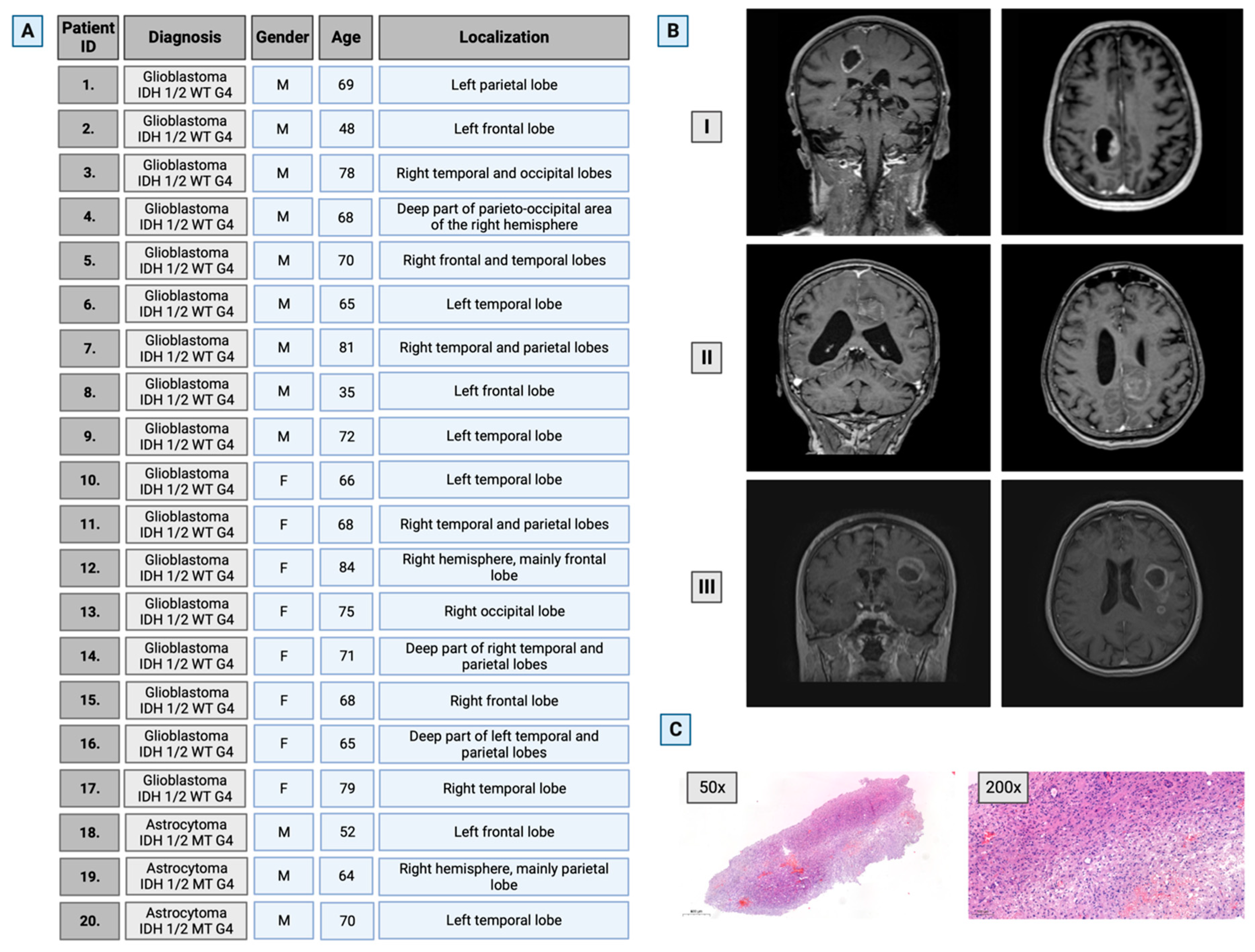 Cancers 16 00456 g001
