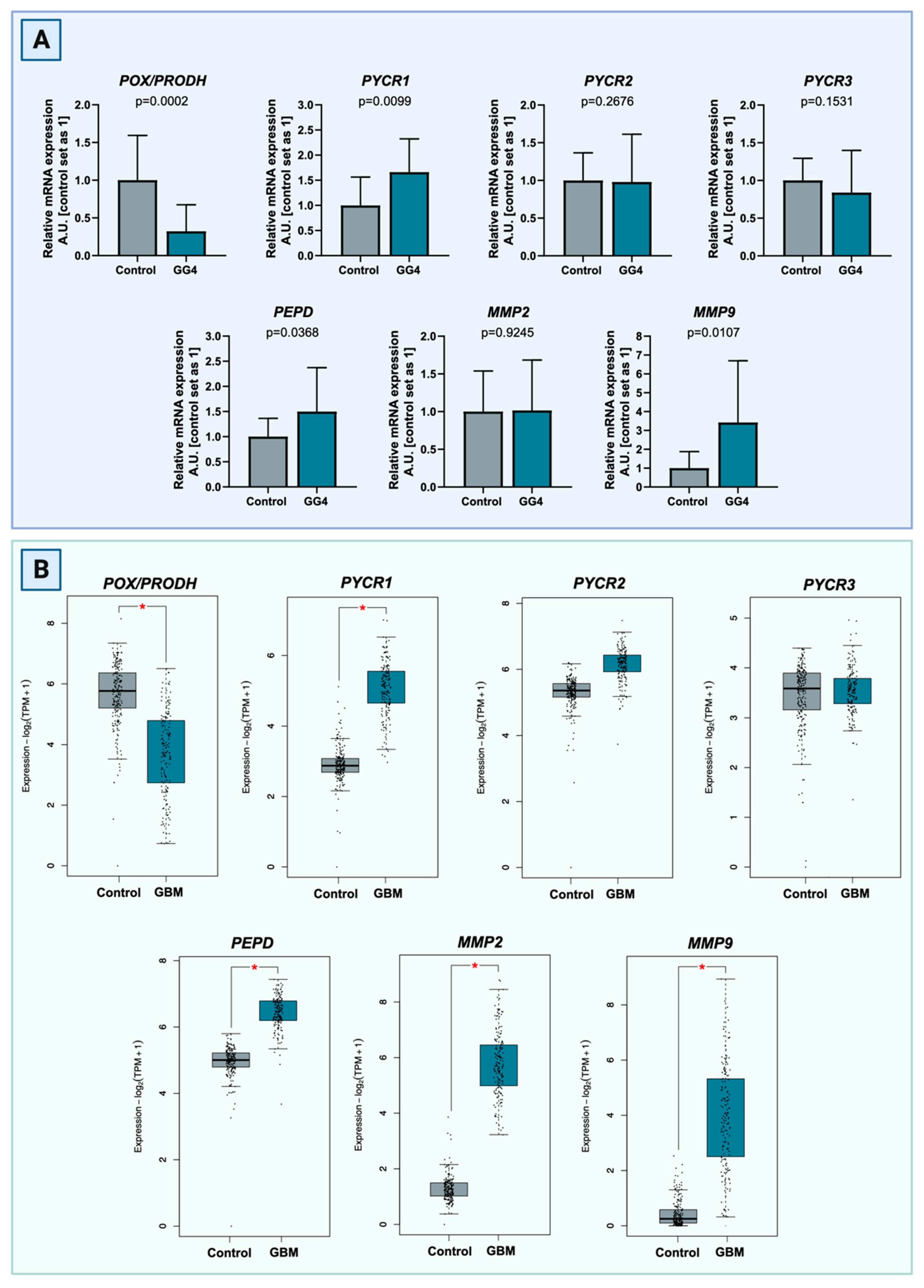 Cancers 16 00456 g002