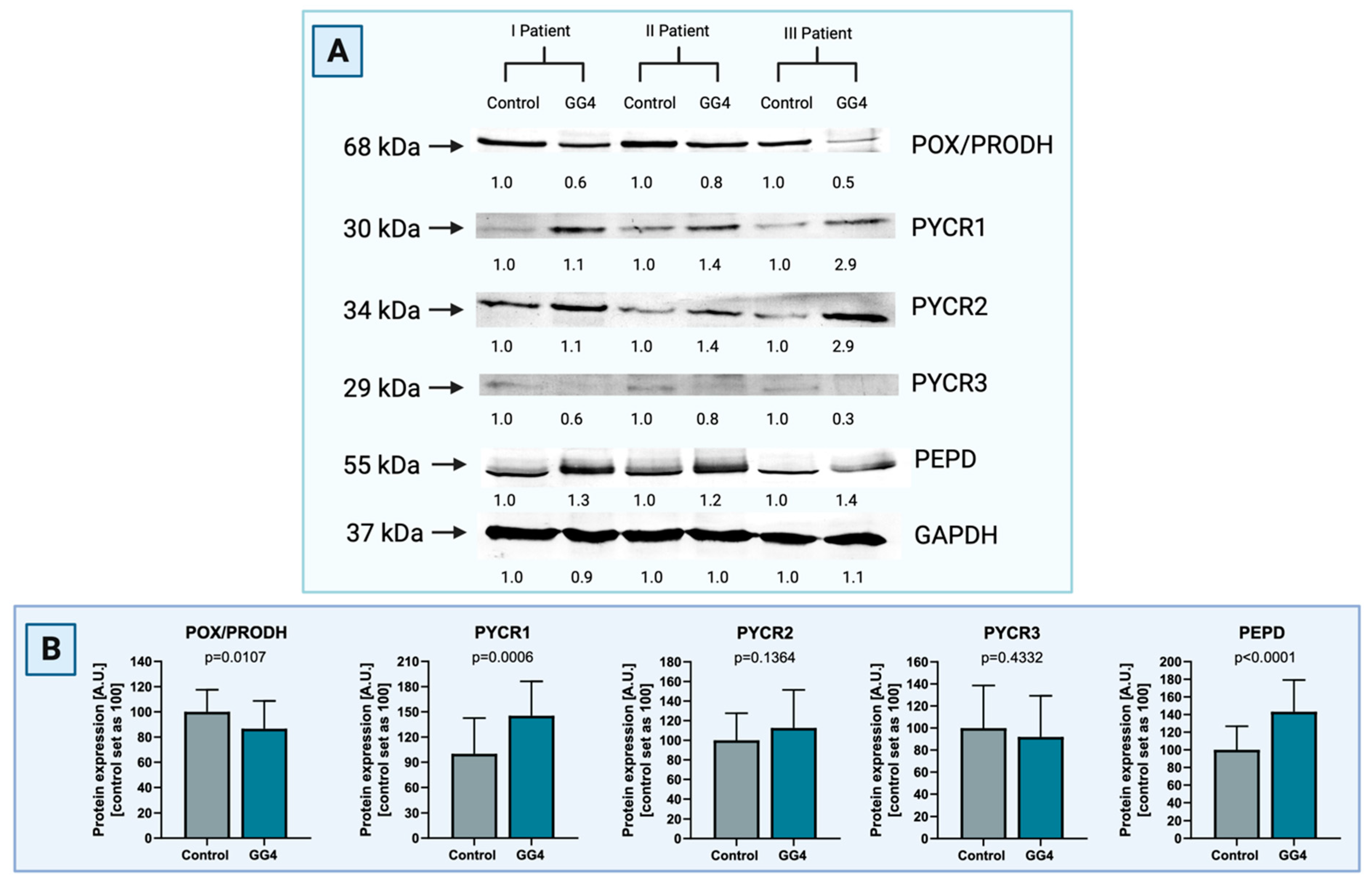 Cancers 16 00456 g003