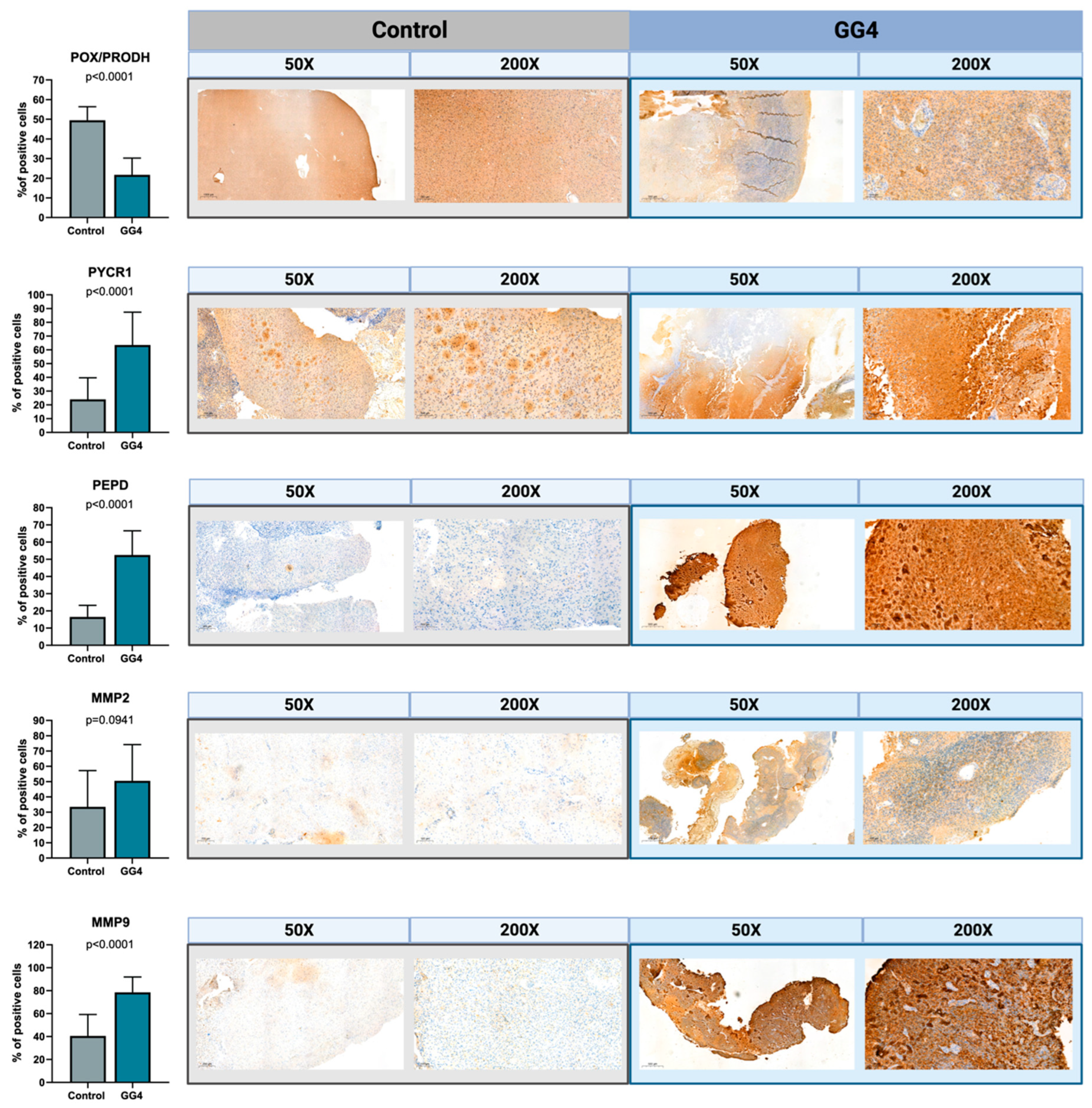Cancers 16 00456 g005