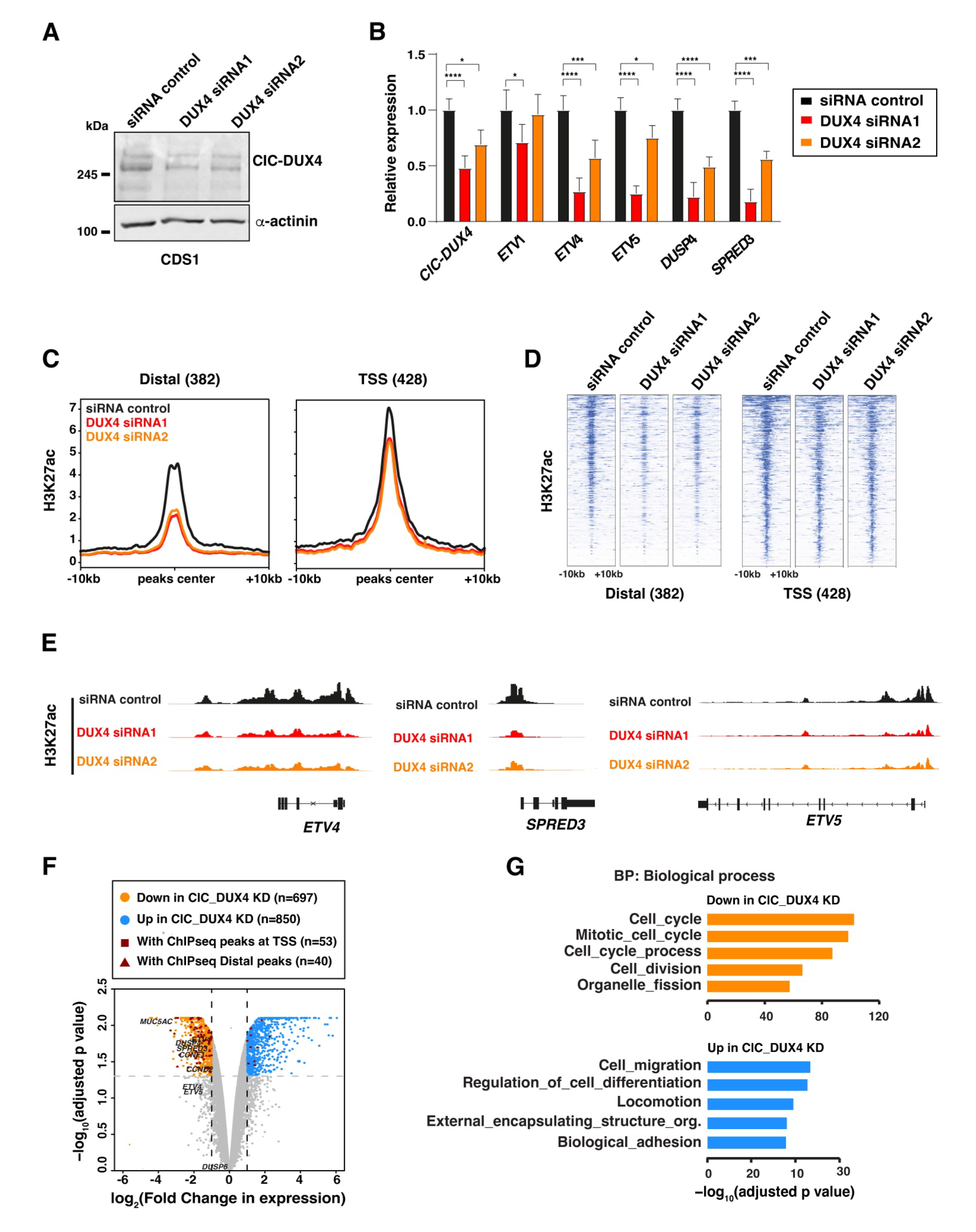 Cancers 16 00457 g002