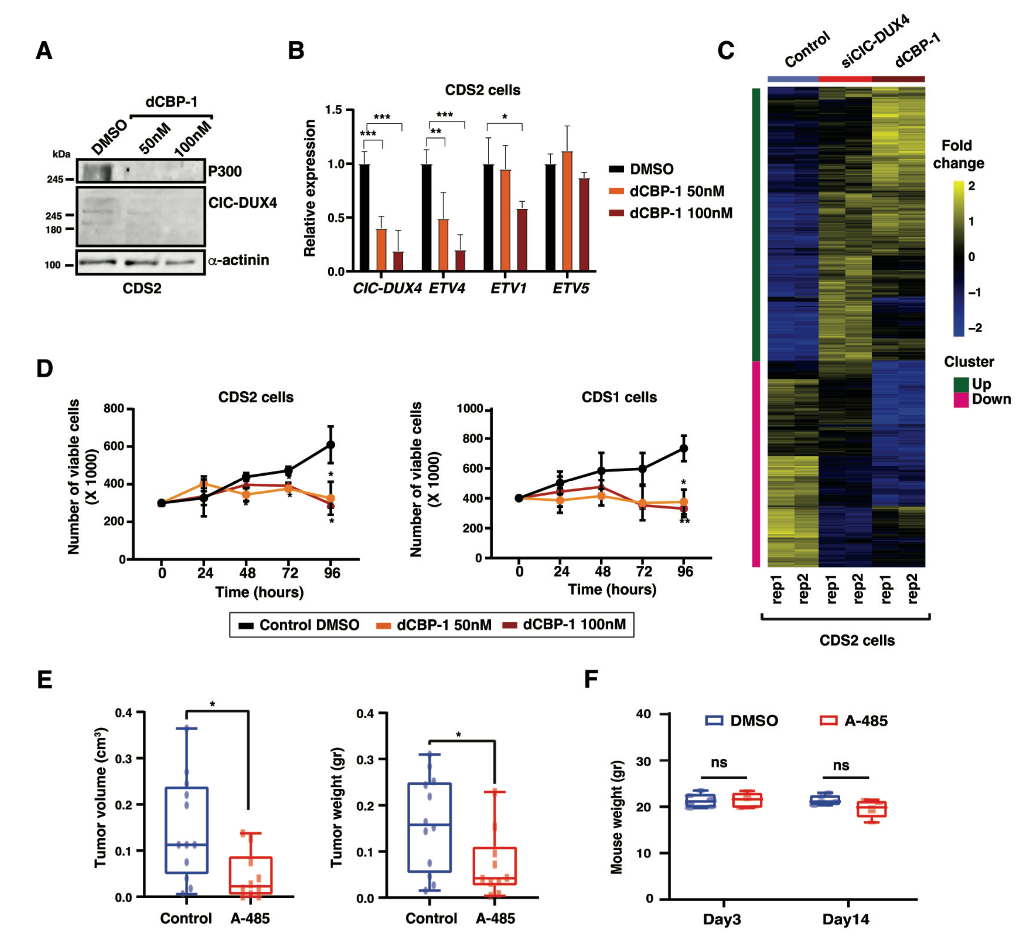 Cancers 16 00457 g005