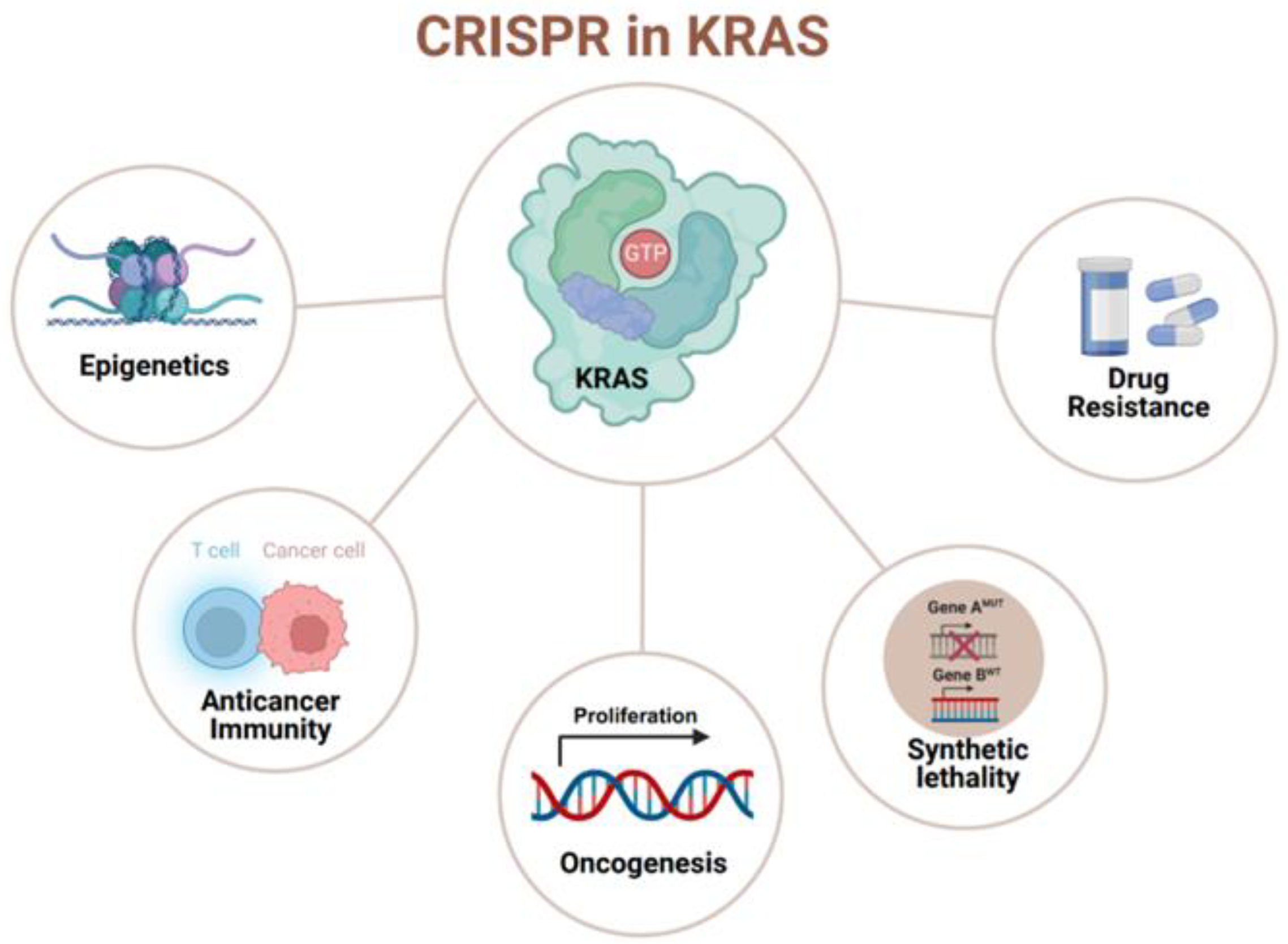 Cancers 16 00460 g001
