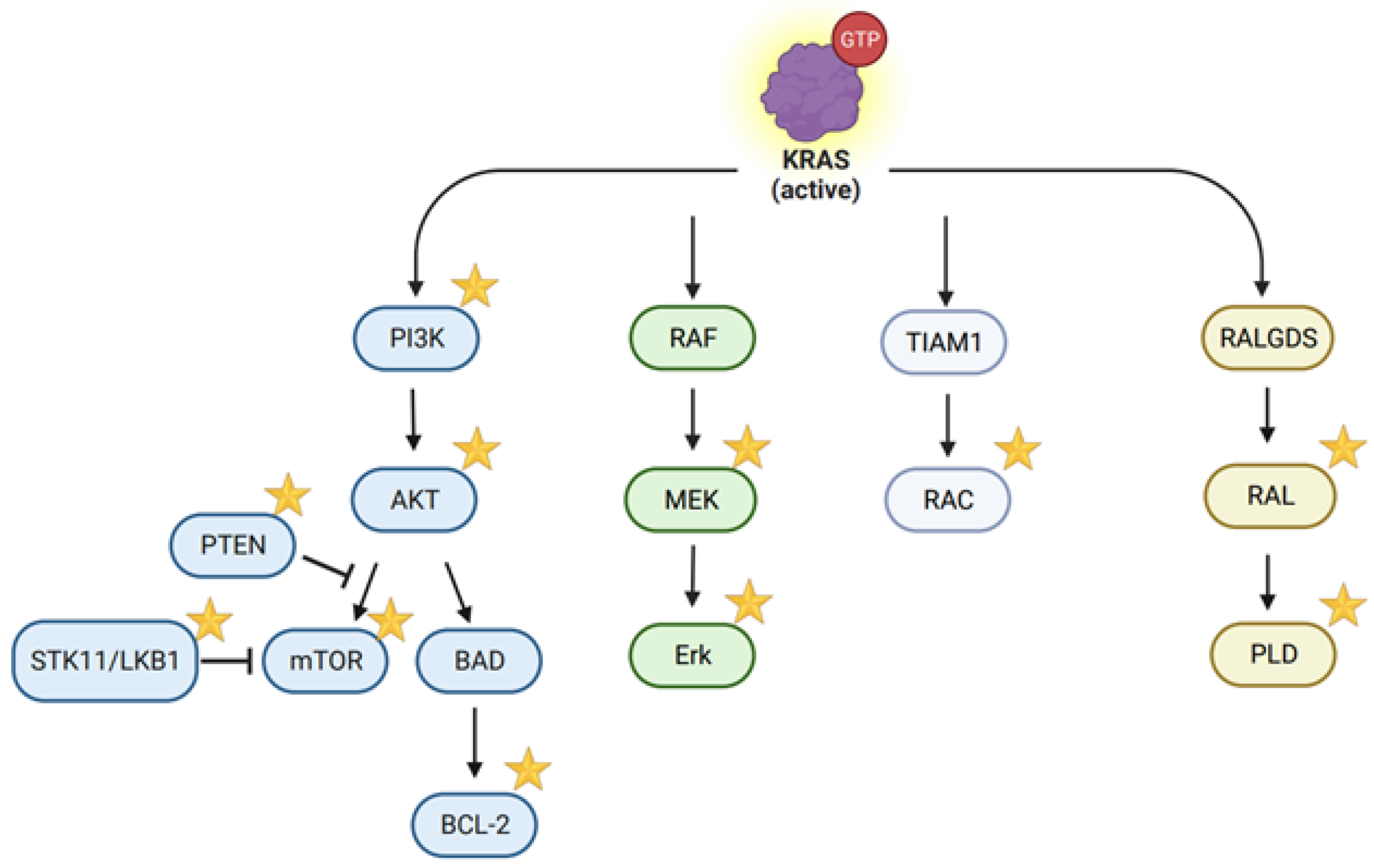 Cancers 16 00460 g002