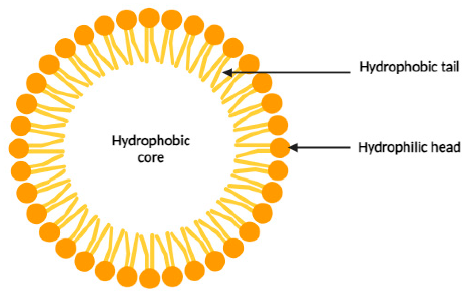 Cancers 16 00461 g003
