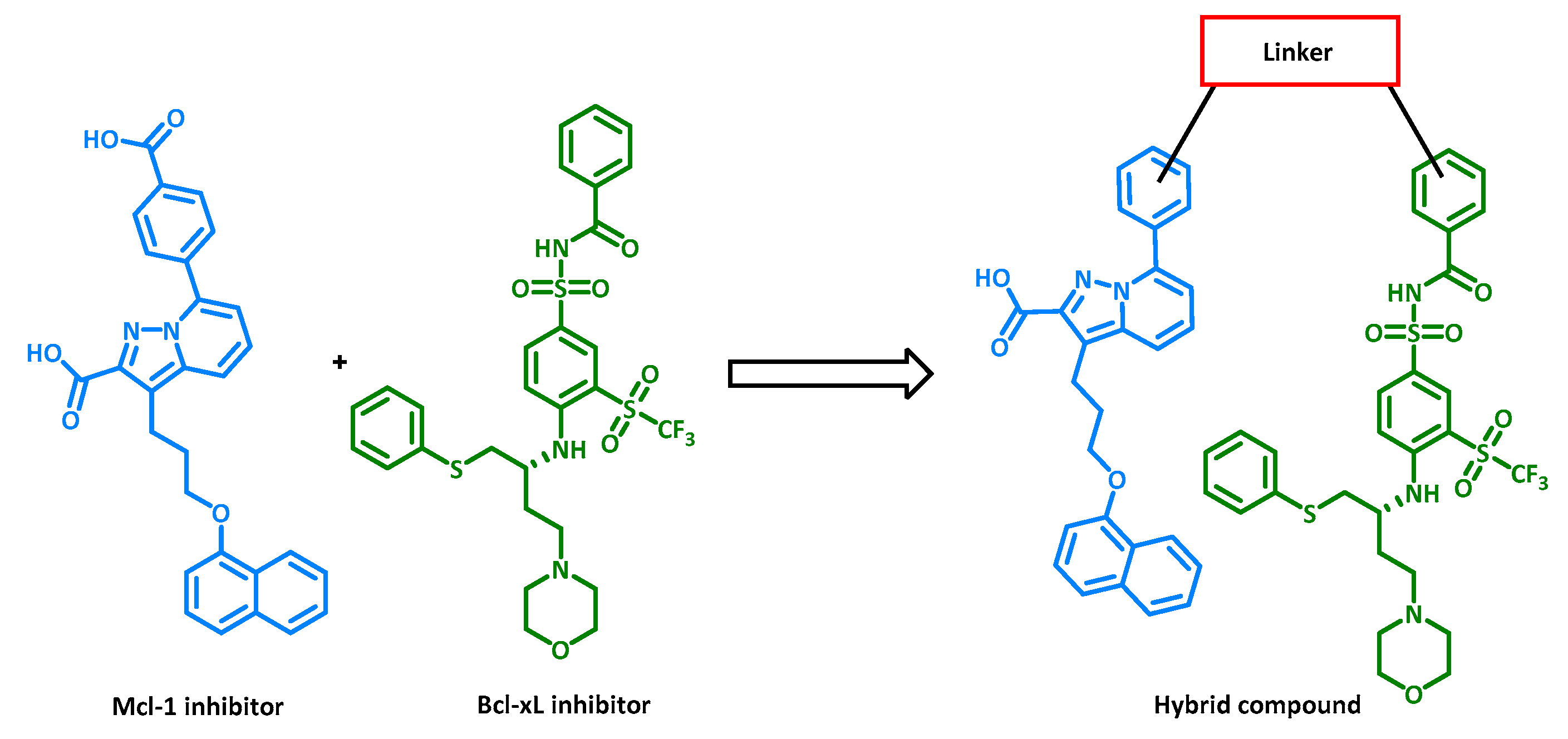 Cancers 16 00461 g015