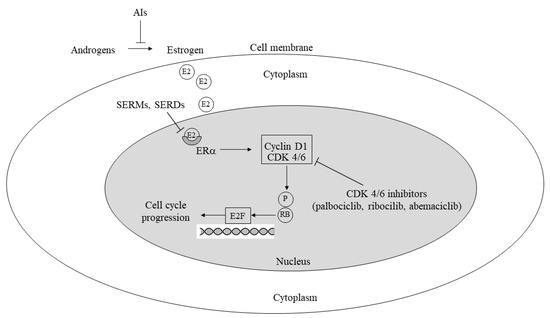 Targeted Therapies and Drug Resistance in Biology Diagrams