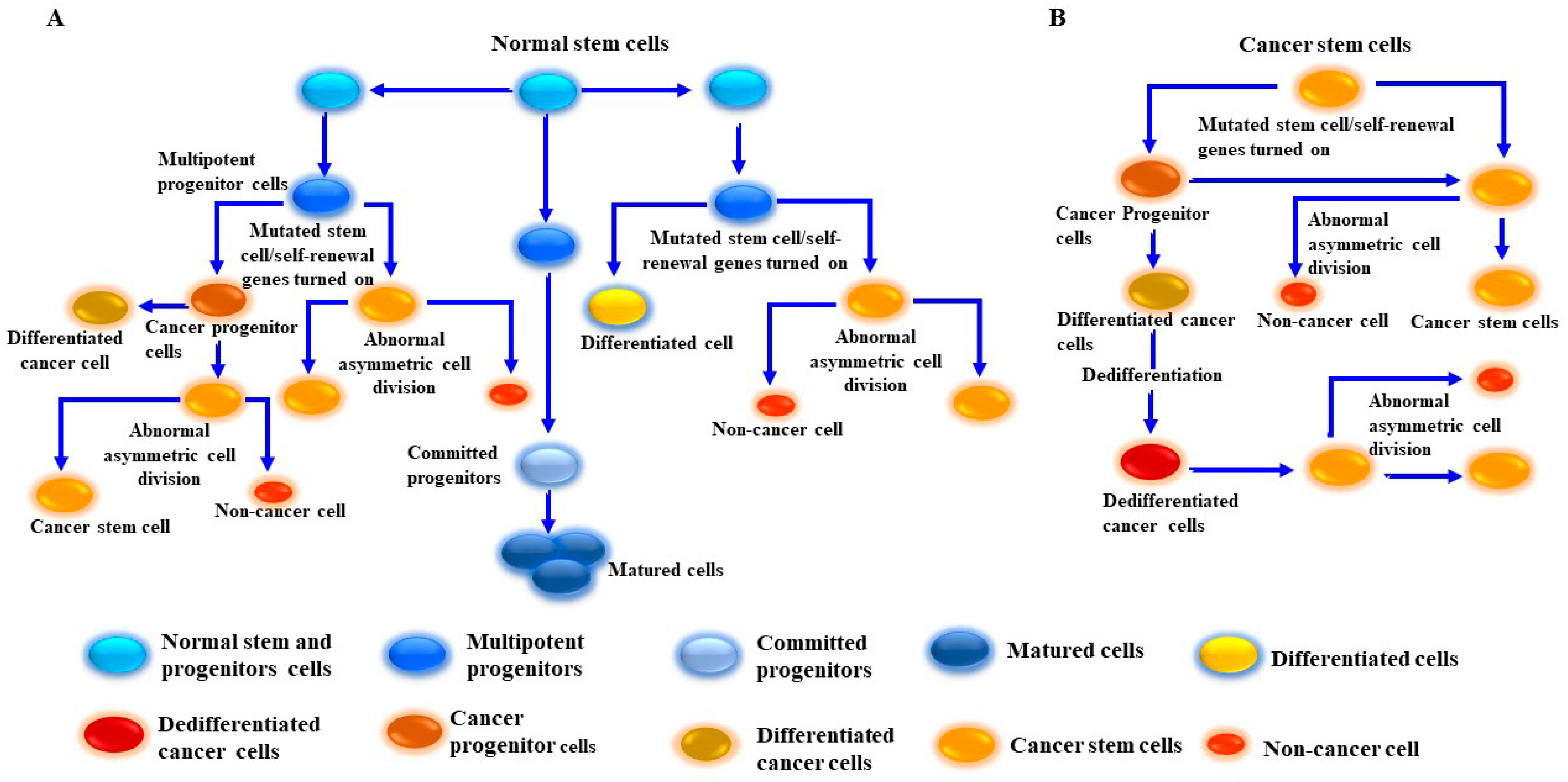 Cancers 16 00470 g003