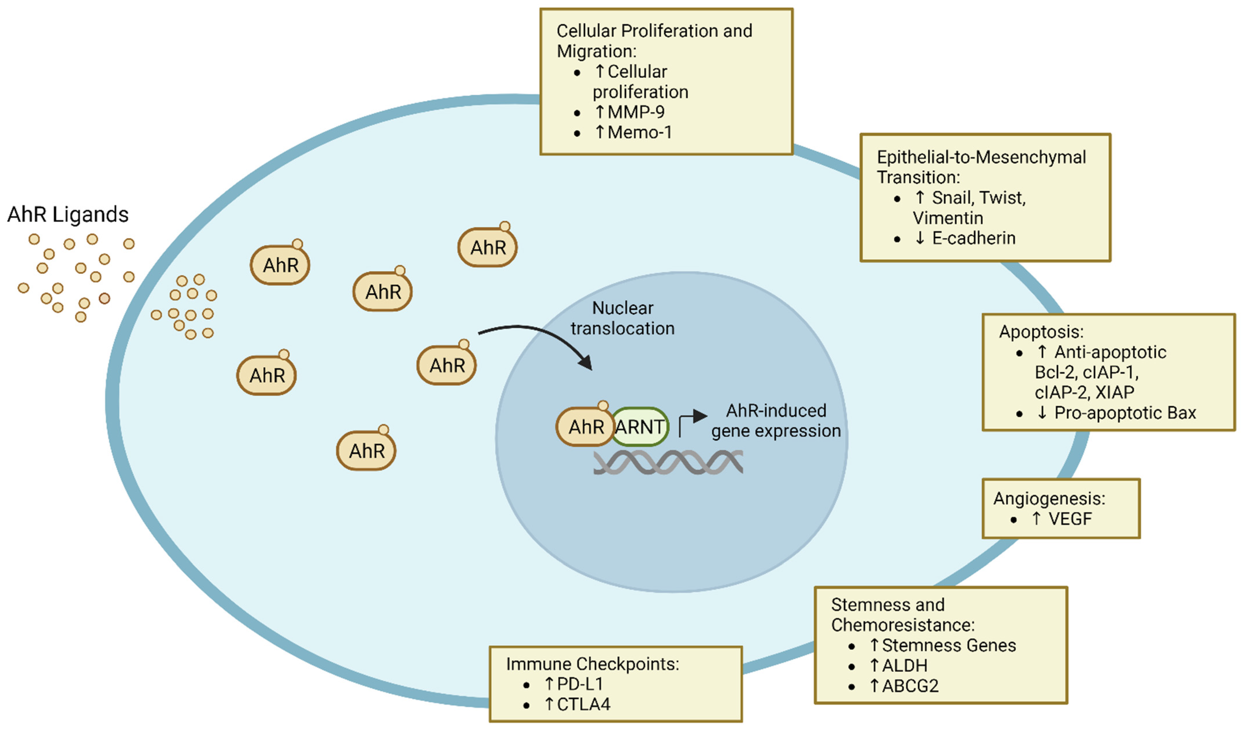 Cancers 16 00472 g001