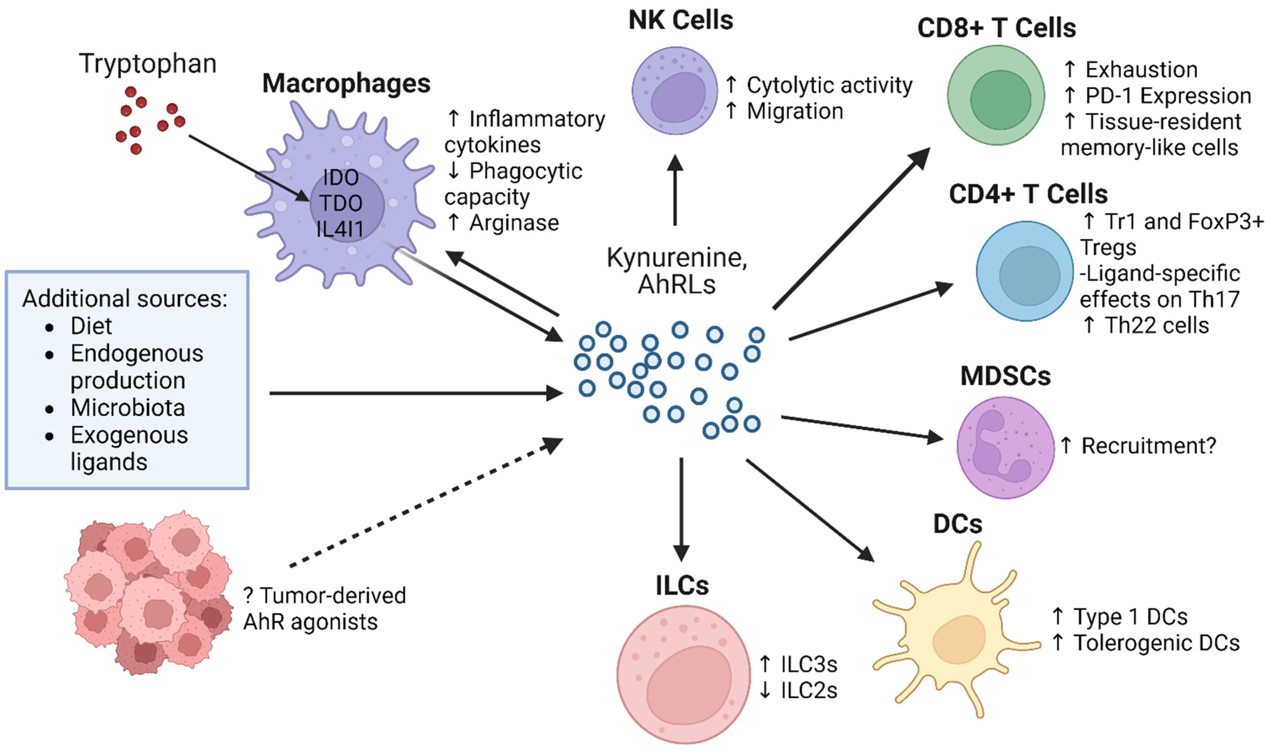 Cancers 16 00472 g002