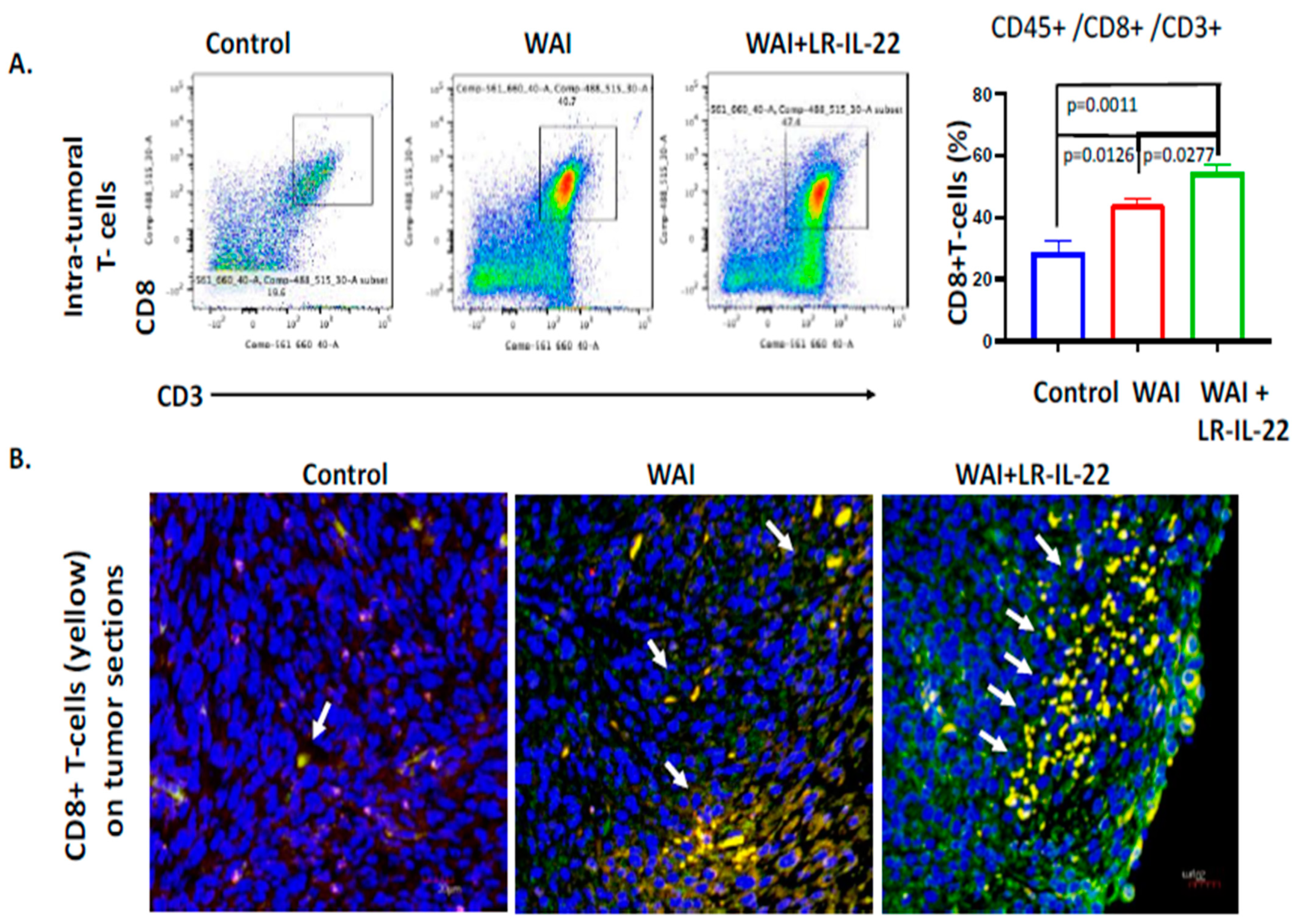 Cancers 16 00474 g006 Cancers 16 00474 g006