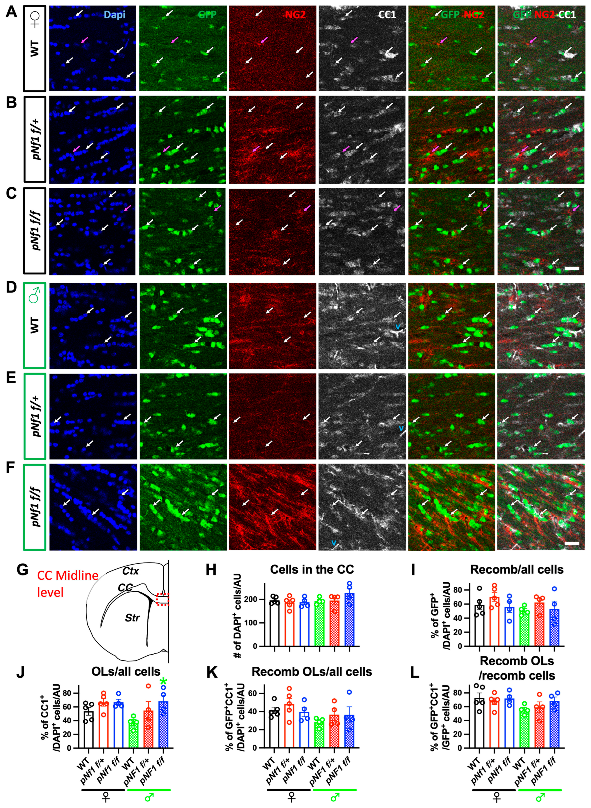 Cancers 16 00477 g005