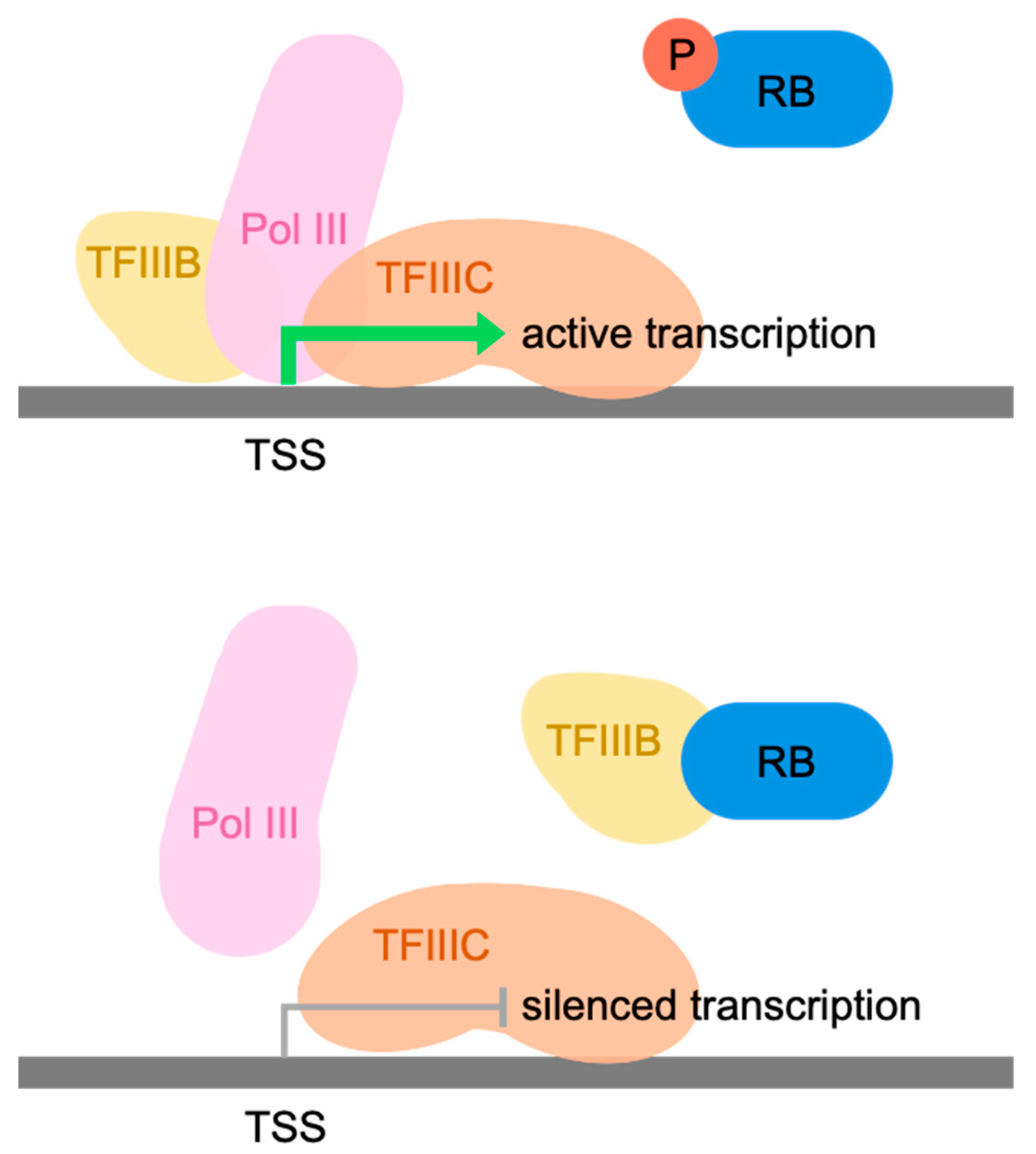 Cancers 16 00481 g001 Cancers 16 00481 g001