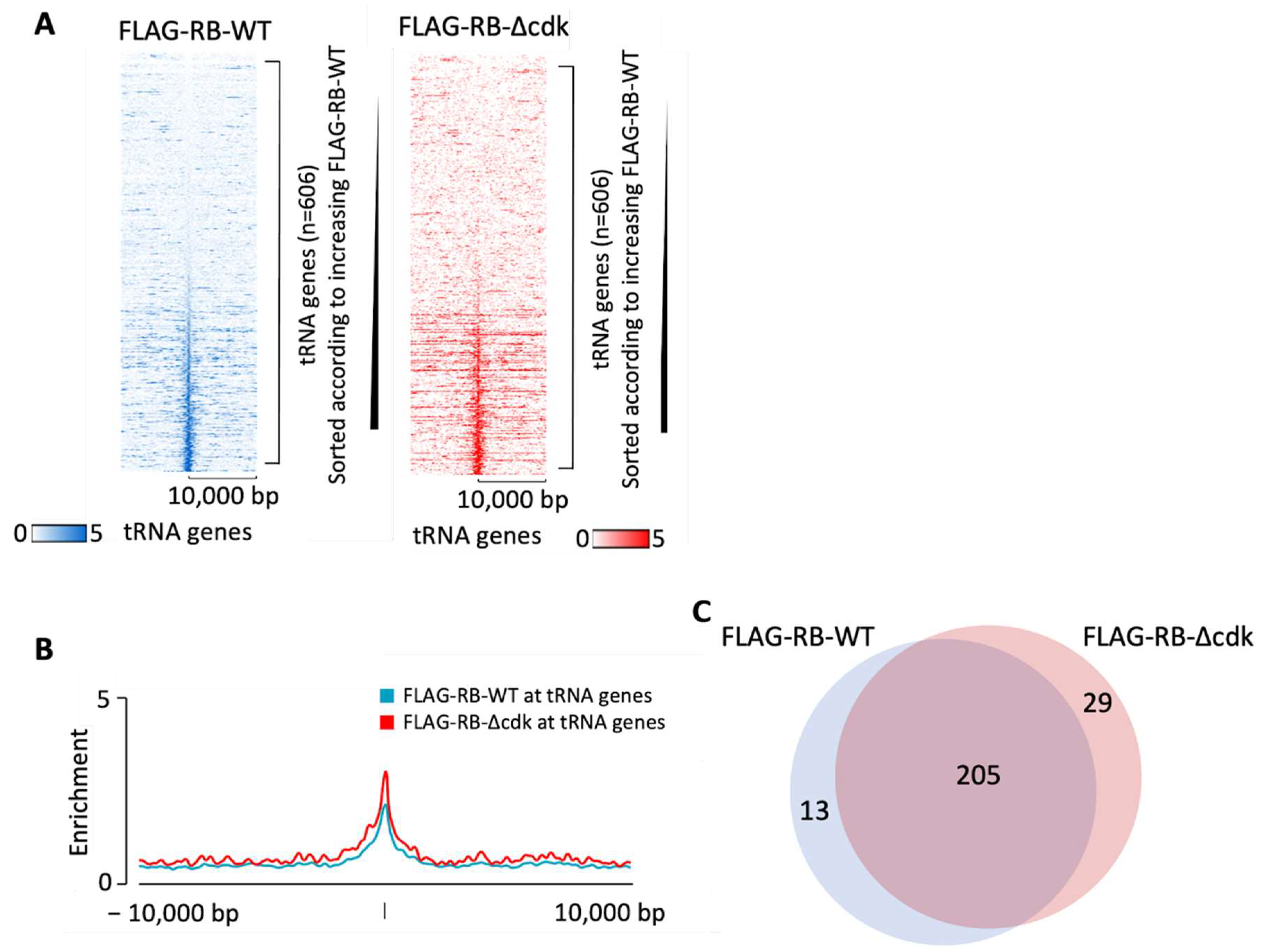 Cancers 16 00481 g004 Cancers 16 00481 g004