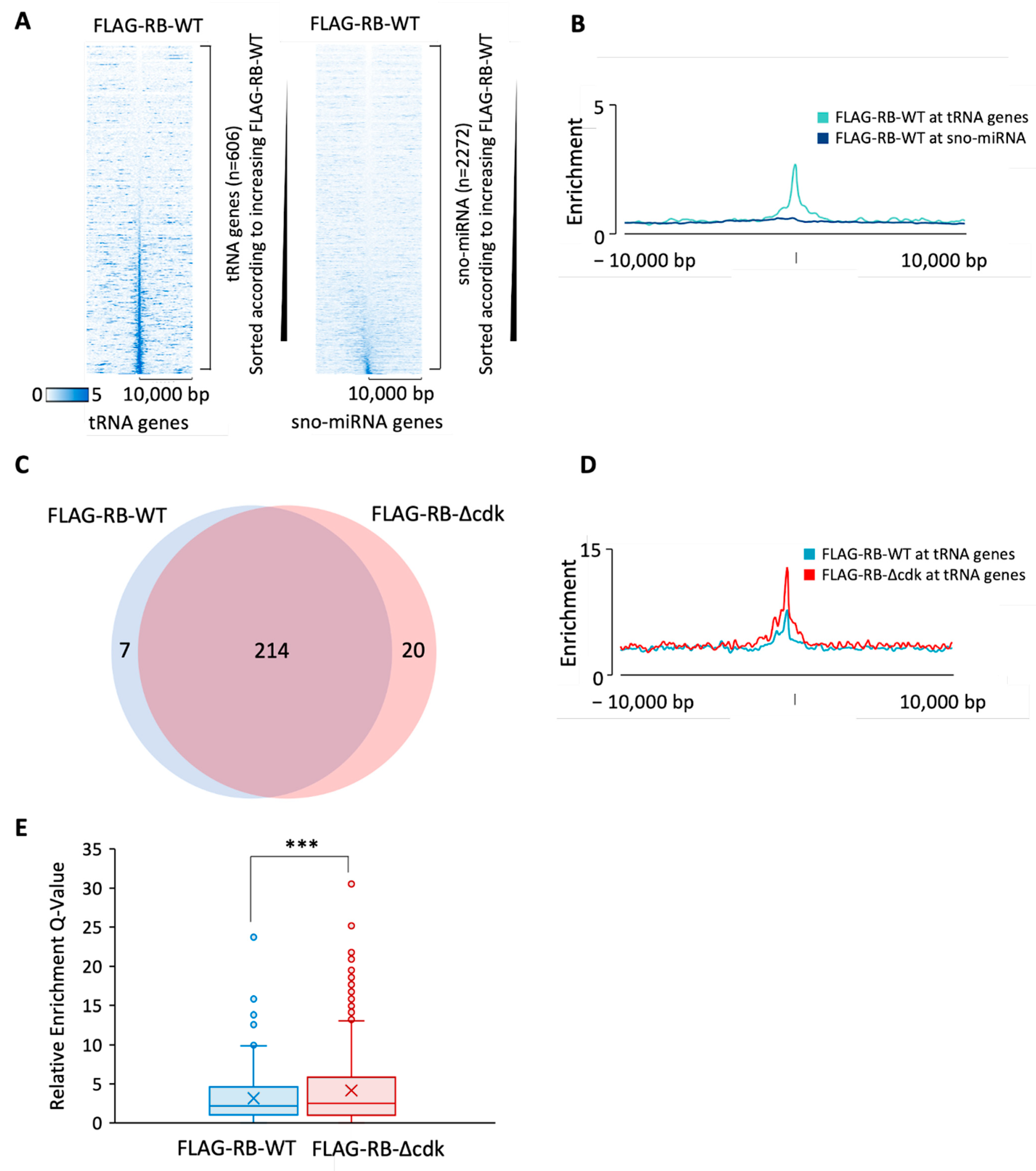 Cancers 16 00481 g005 Cancers 16 00481 g005