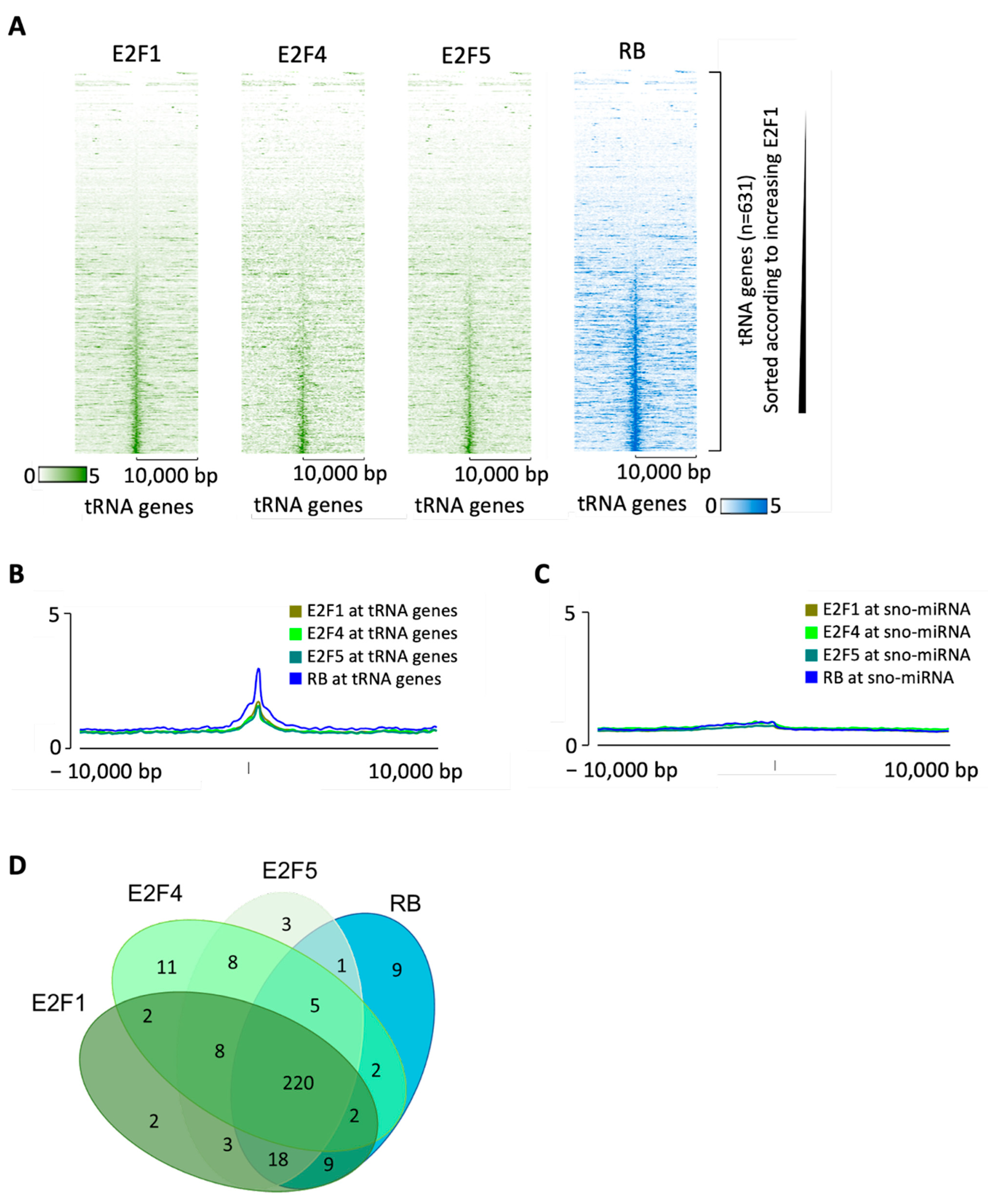 Cancers 16 00481 g007 Cancers 16 00481 g007