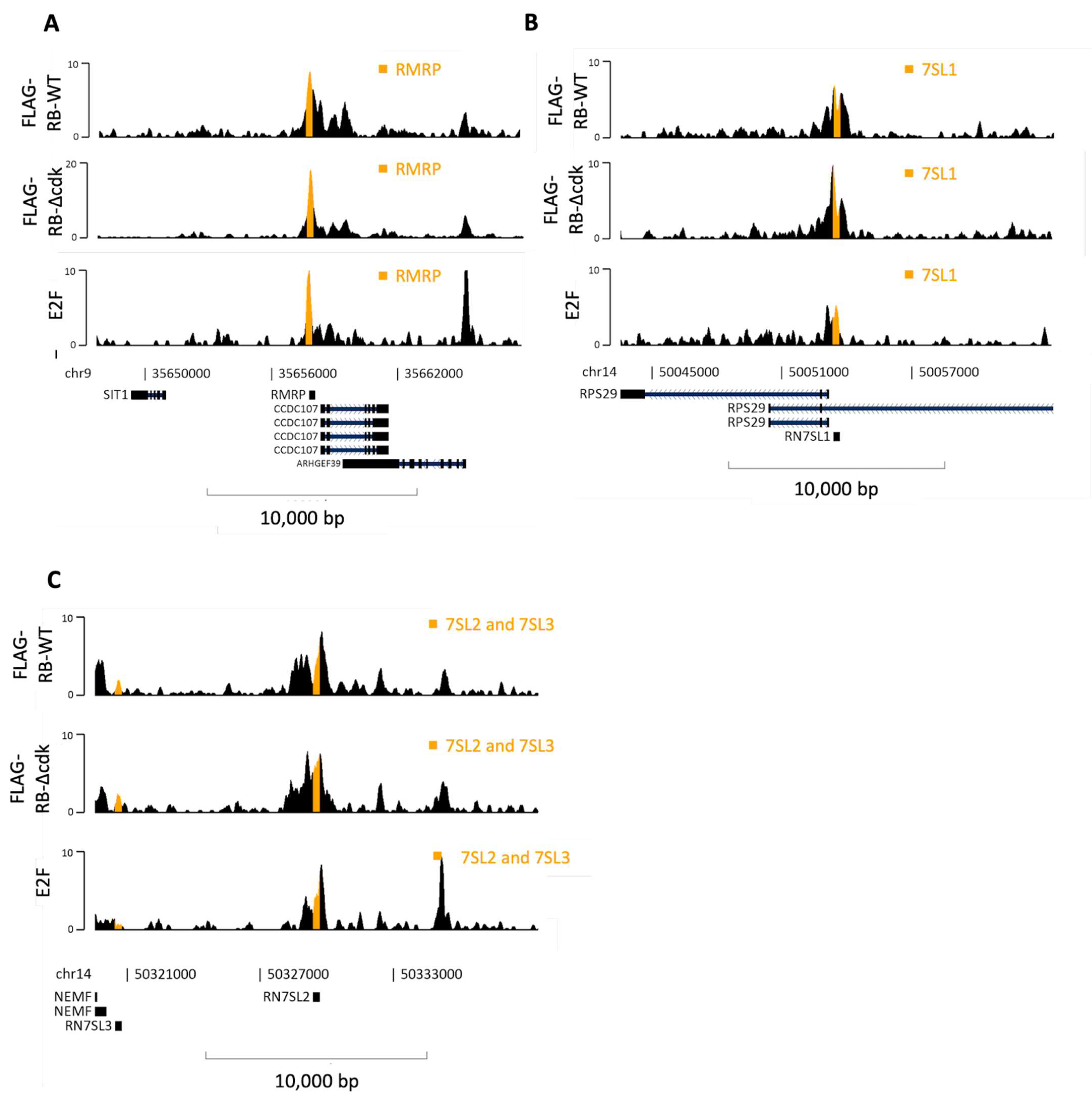 Cancers 16 00481 g009 Cancers 16 00481 g009