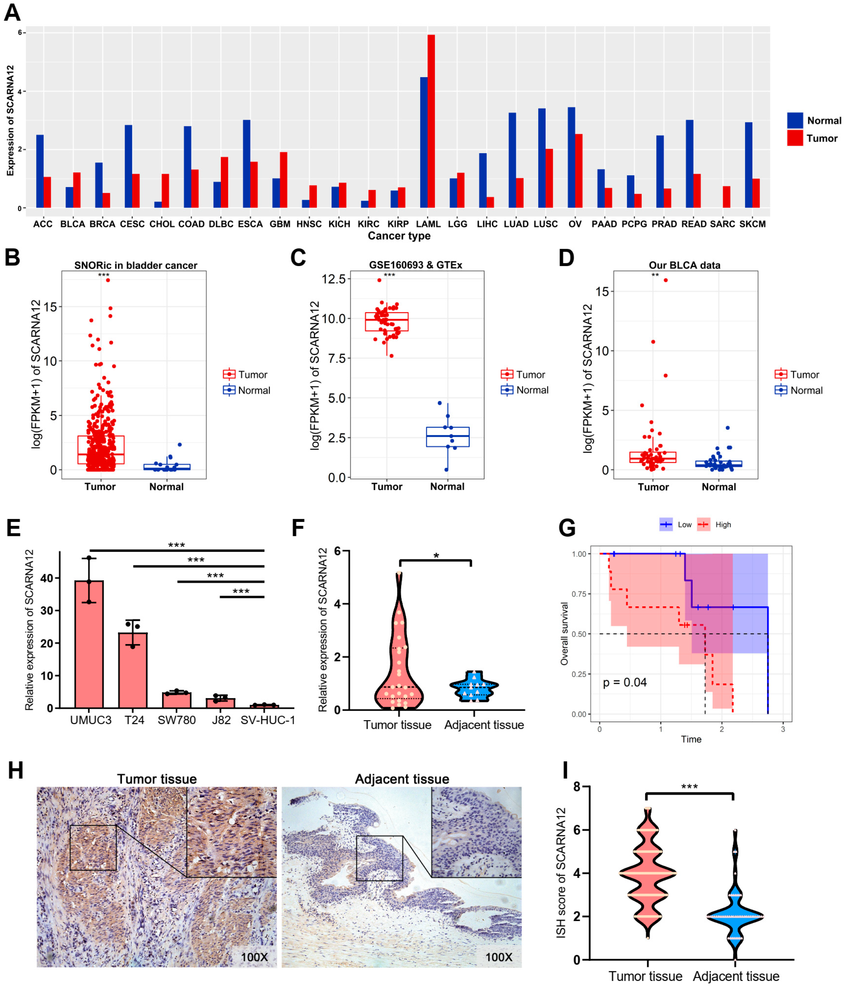 Cancers 16 00483 g001 Cancers 16 00483 g001